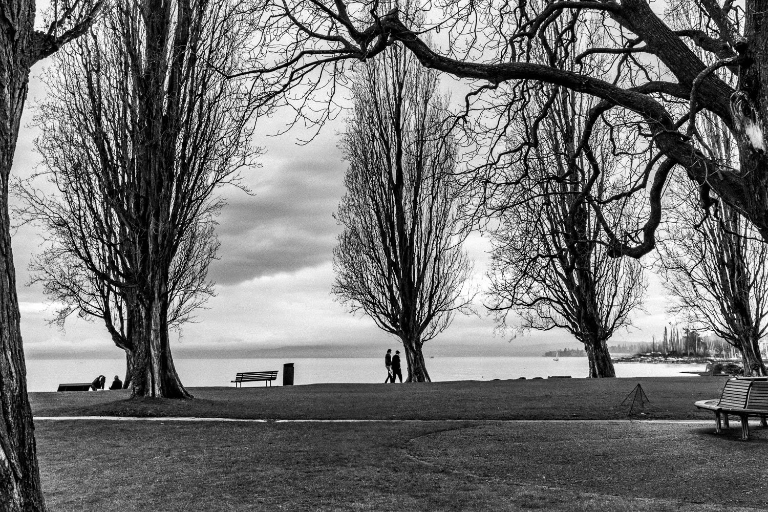 View of Lake Leman, Lausanne, 2025