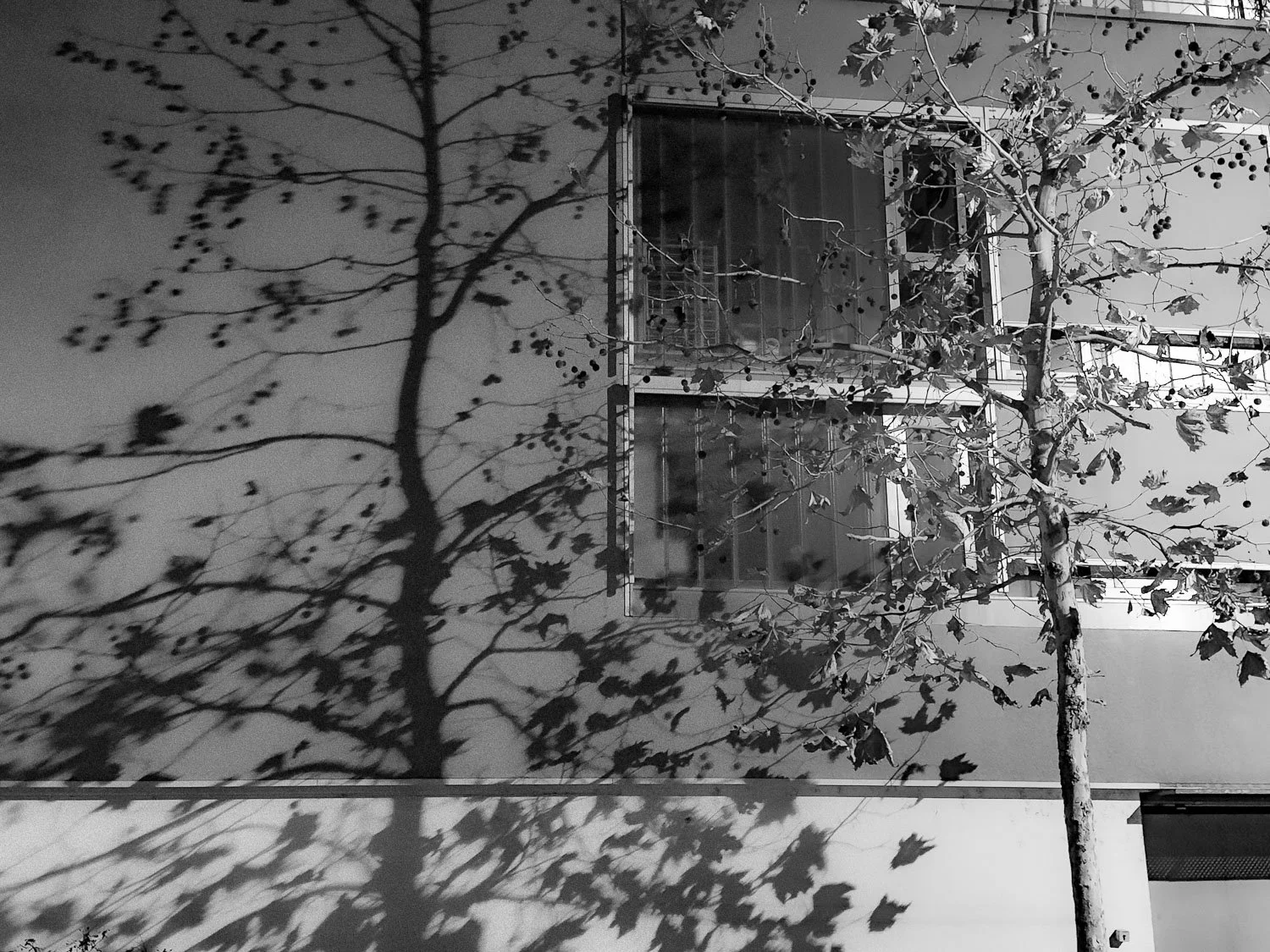 Windy night, Lausanne, 2025