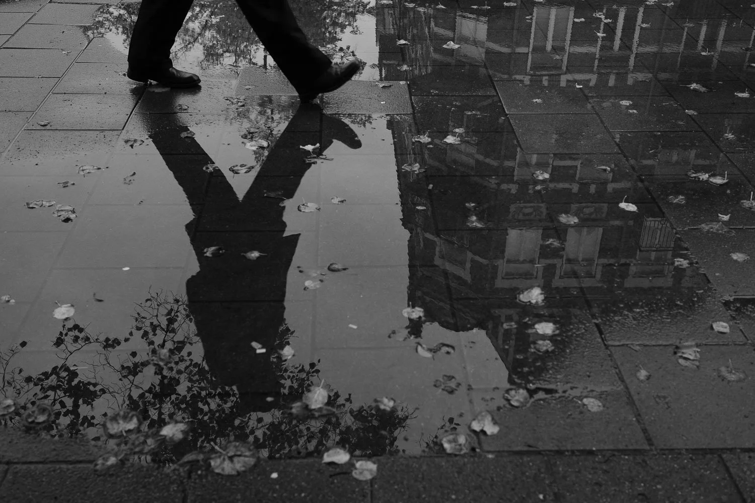 Pedestrian, Malmö, 2023