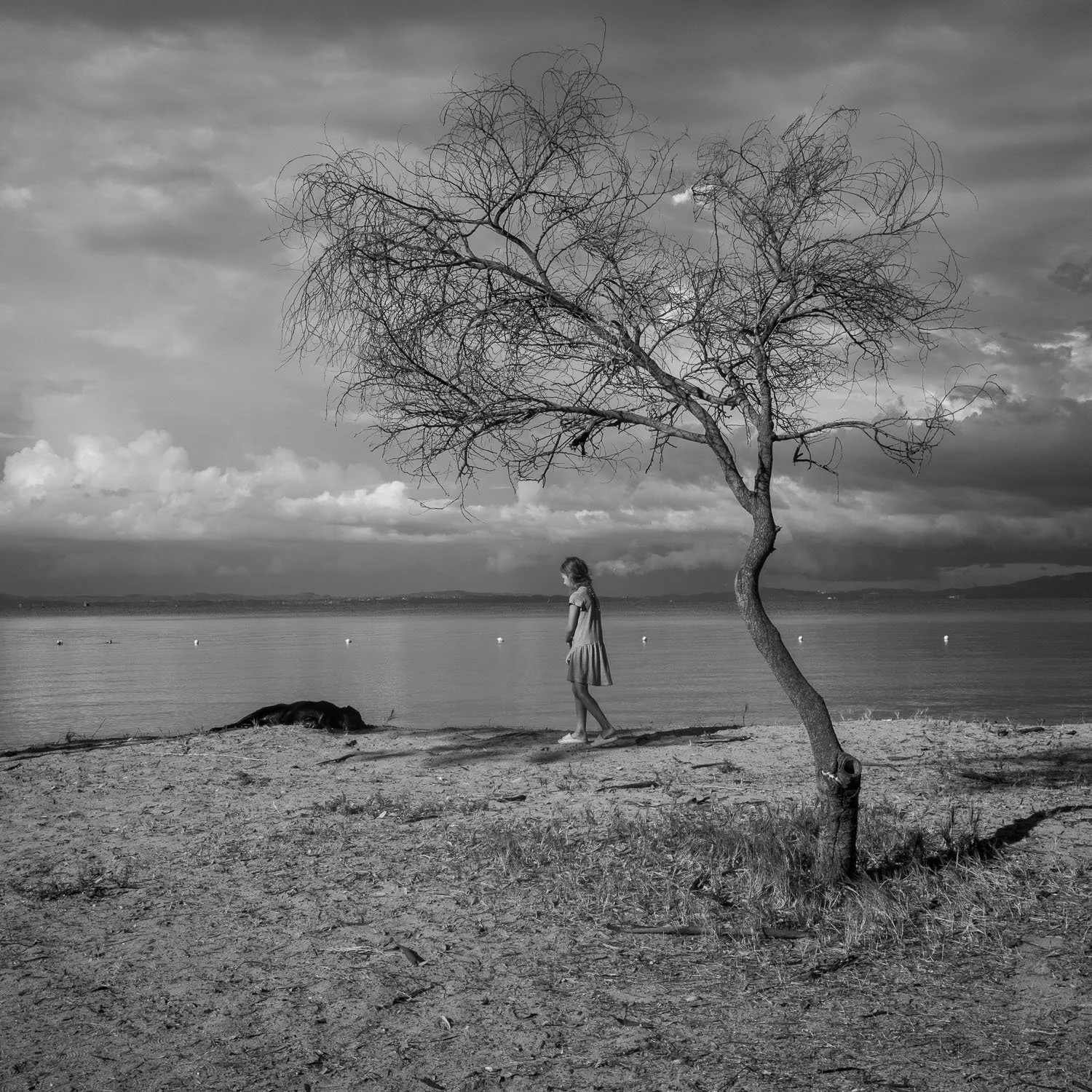 Girl and a dog, Igoumenitsa, 2024
