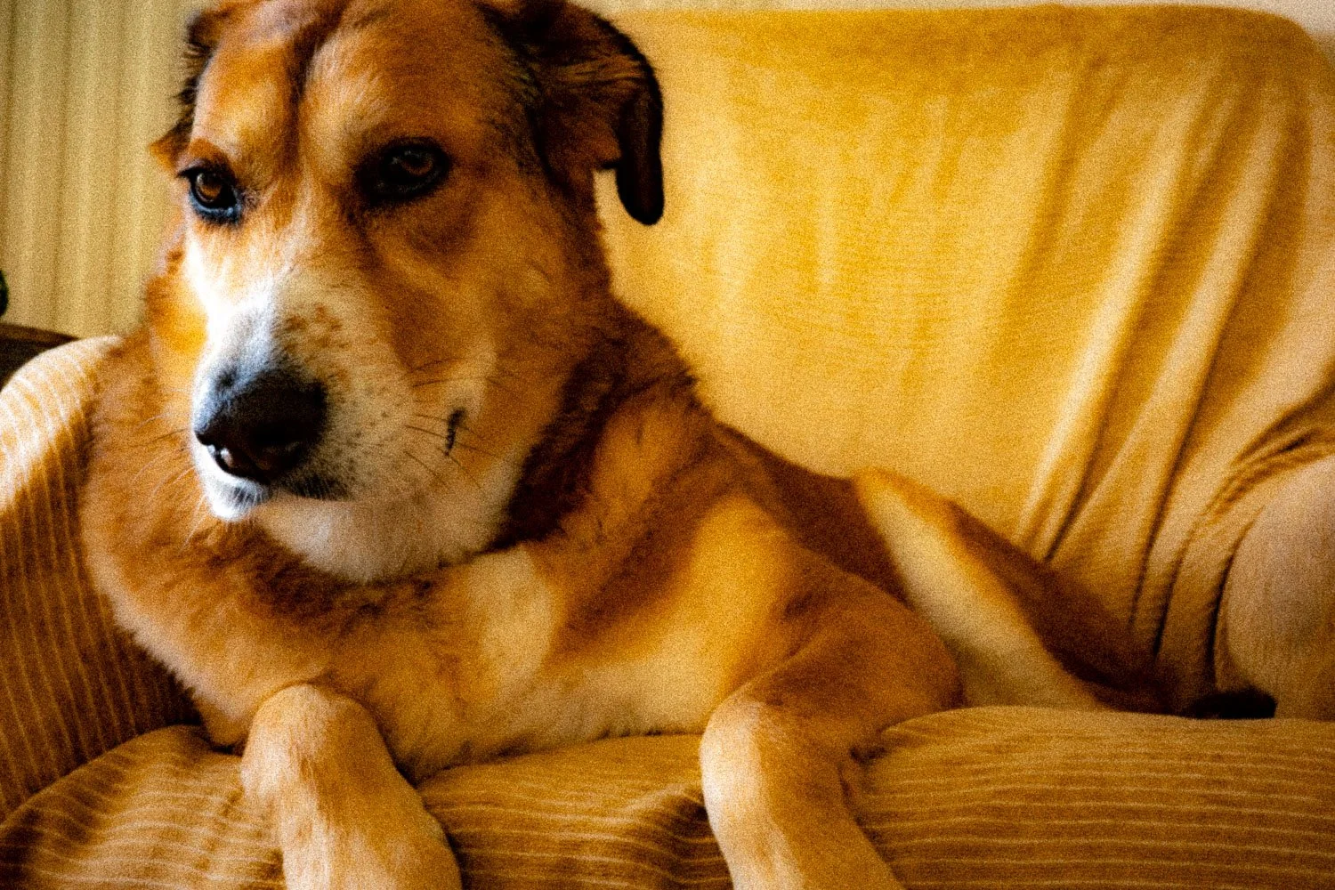 Λέφτι, Athens, 2023