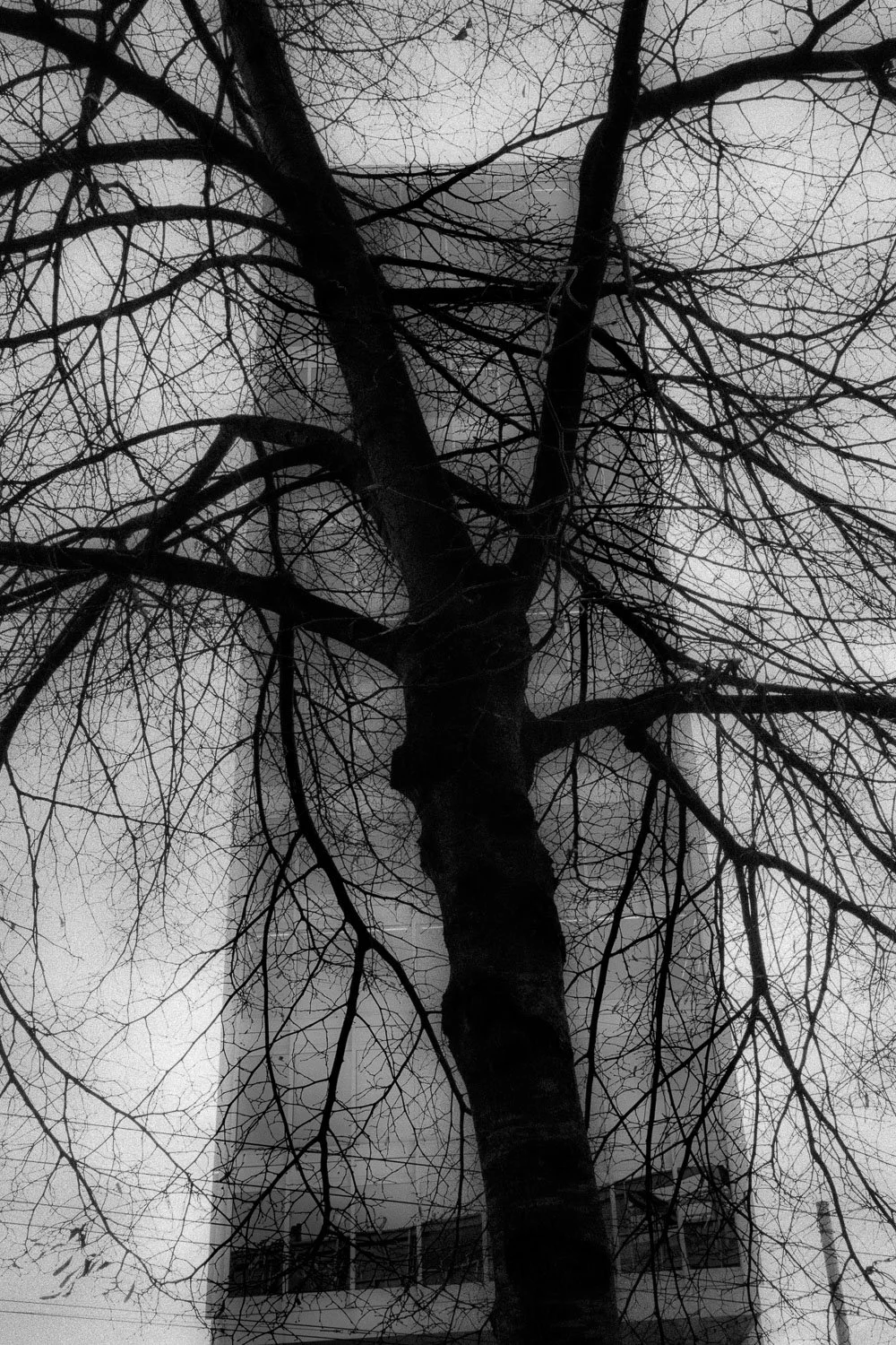 The winter in the city, Lausanne, 2025