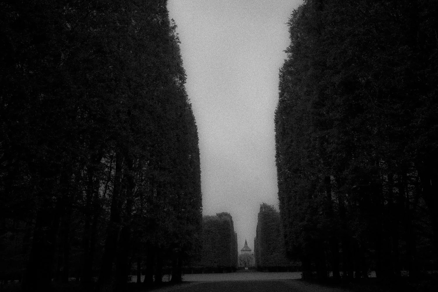 Kungsparken, Malmö, 2023