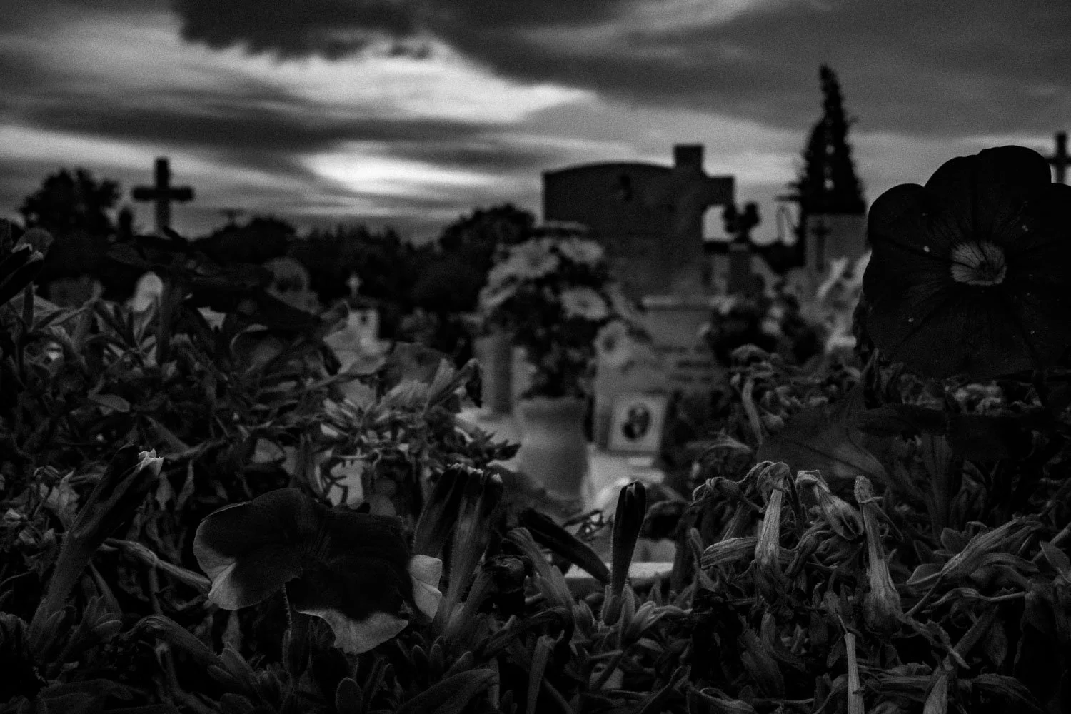 Sunset at cemetery, Igoumenitsa, 2024