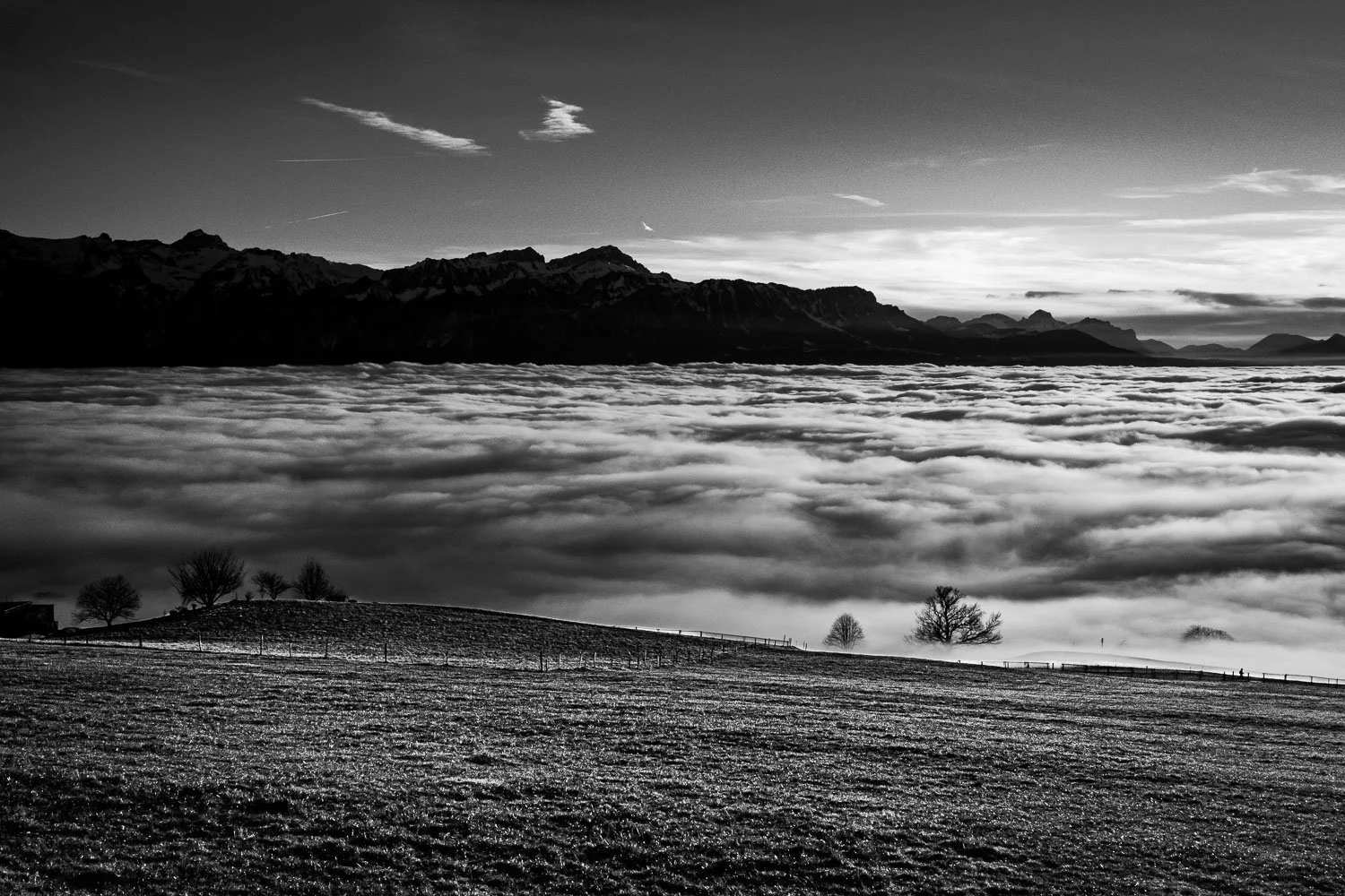 Above the clouds, Lausanne, 2025