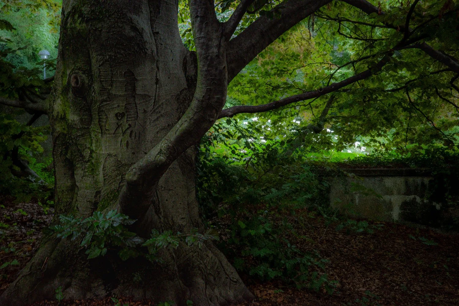 Parc Mon Repos , Lausanne, 2023