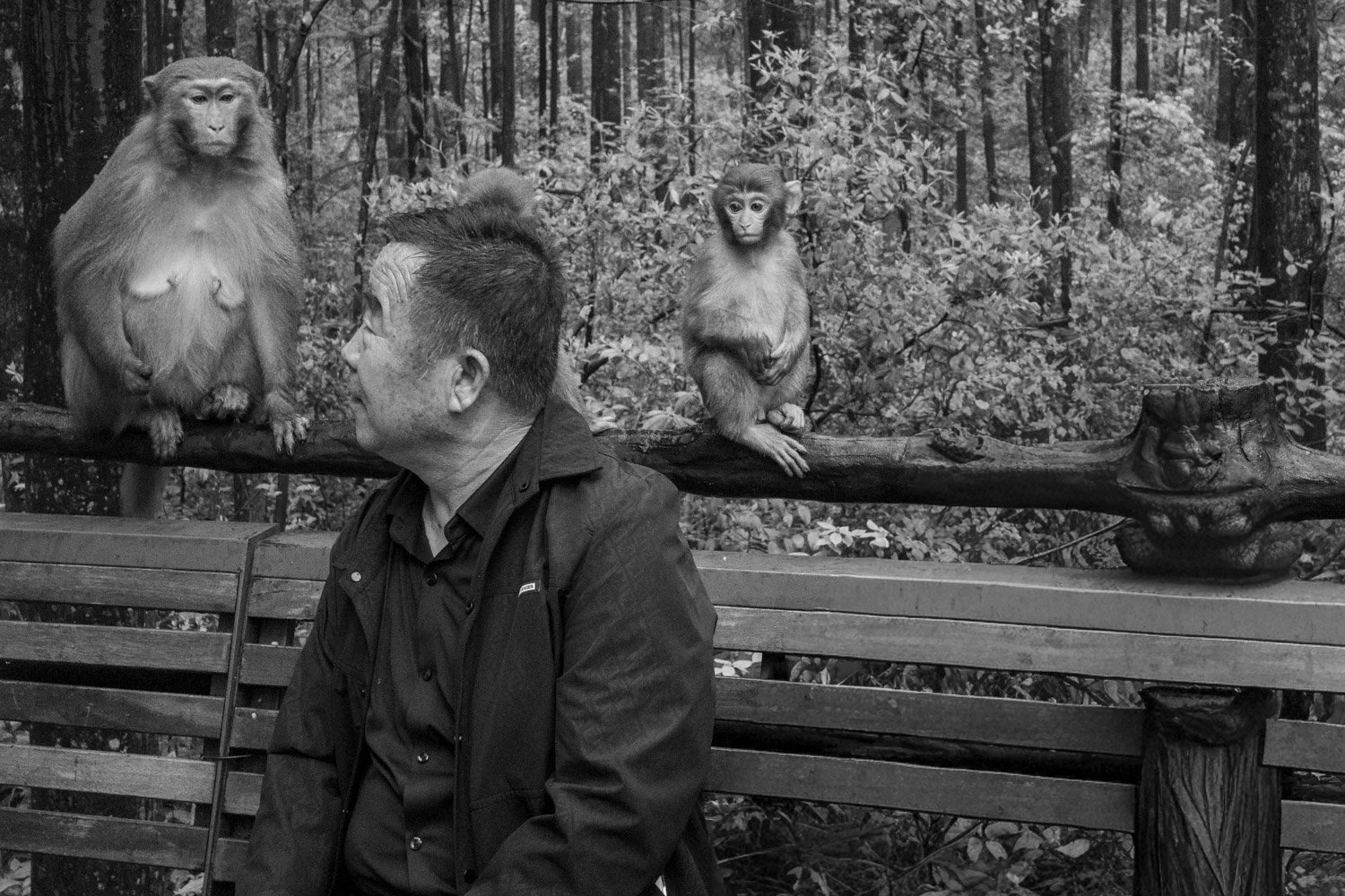 Conversation, Zhangjiajie National Forest Park, 2026