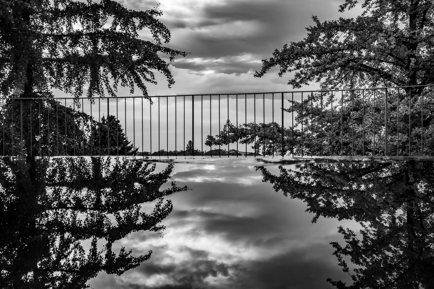 Reflections at Promenade Jean-Jacques Mercier, Lausanne, 2024