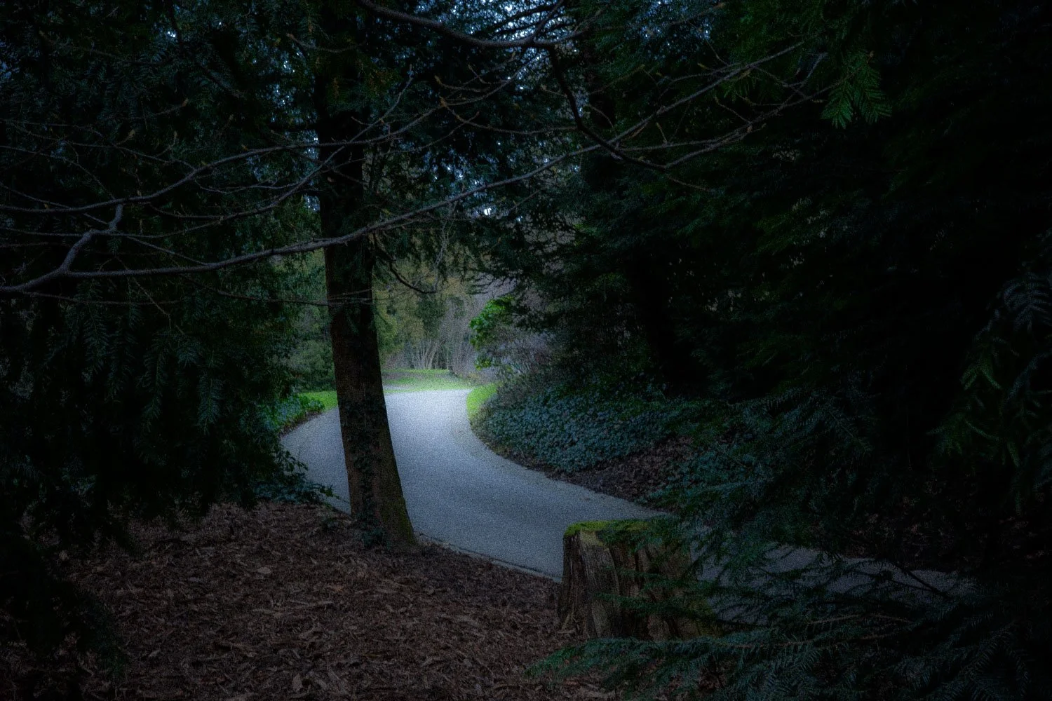 Park Mon Repos, Lausanne, 2023