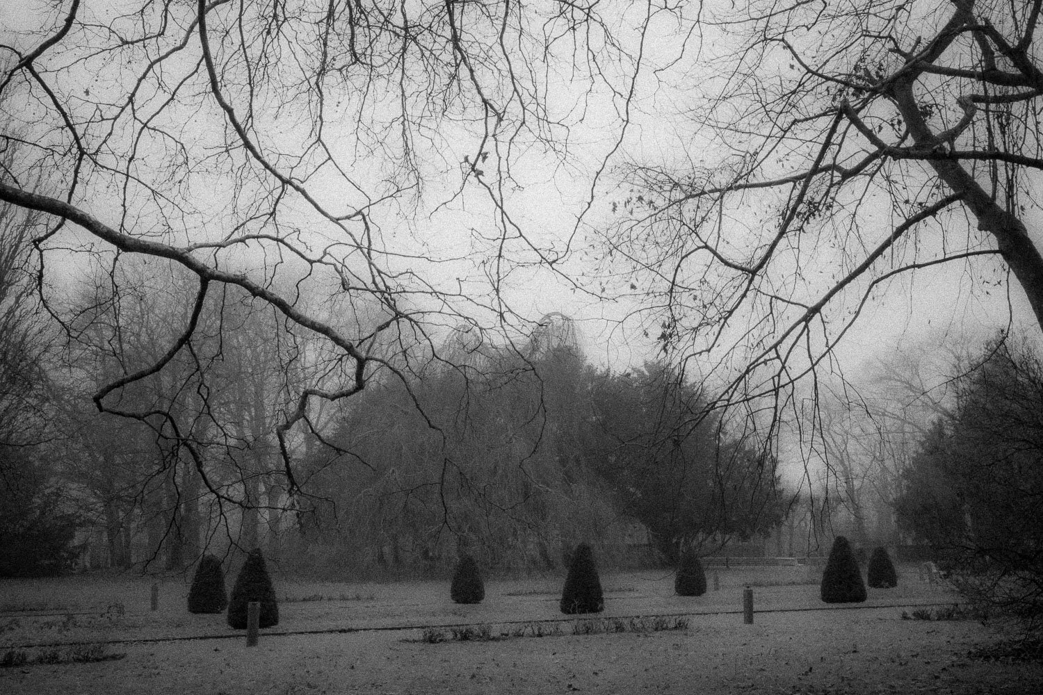 Stadsparken, Lund, 2023