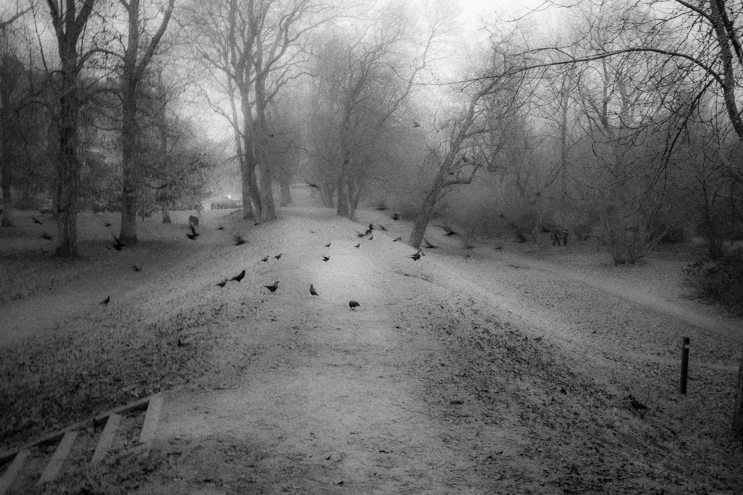 Stadsparken, Lund, 2023