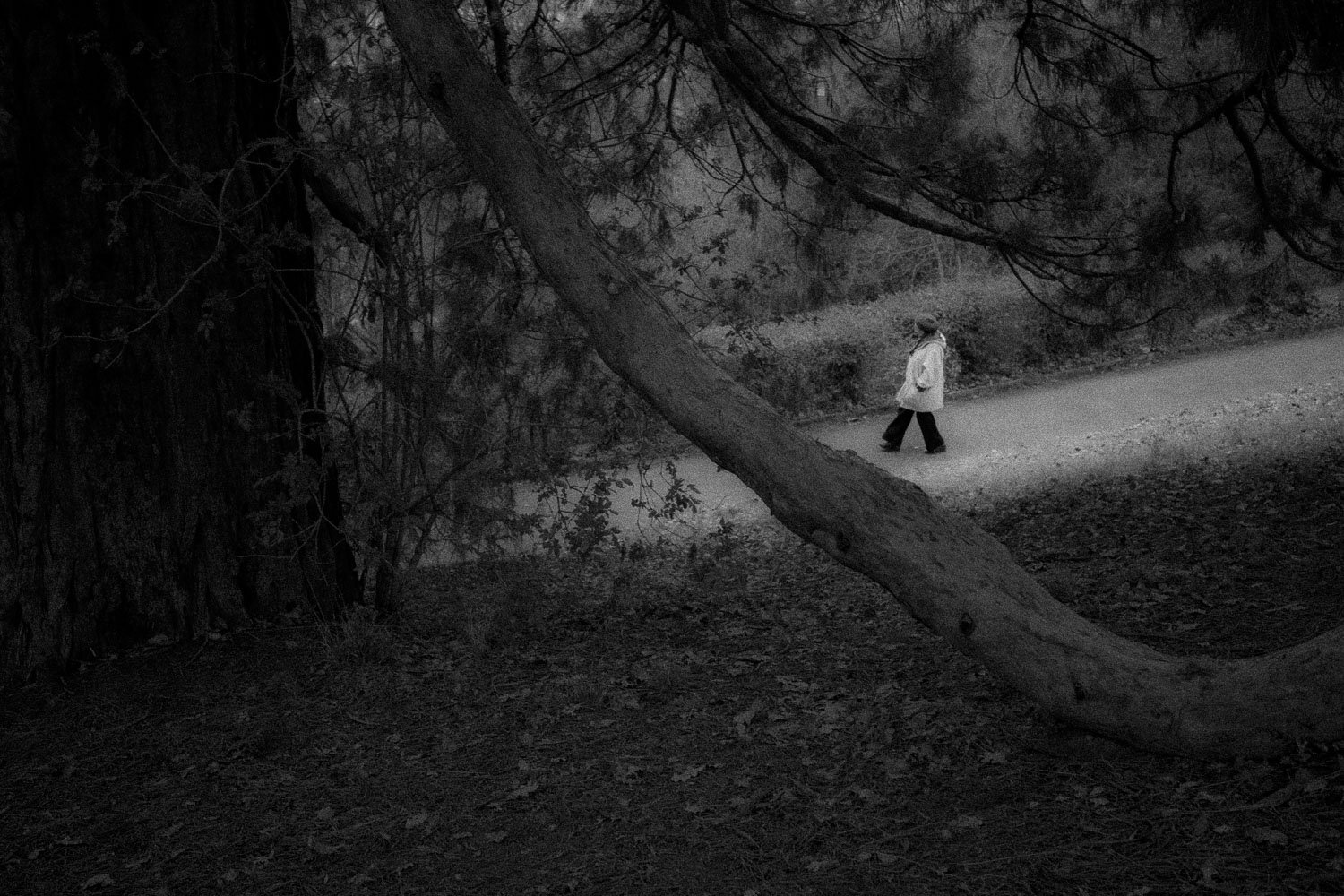 Parc Milan, Lausanne, 2024