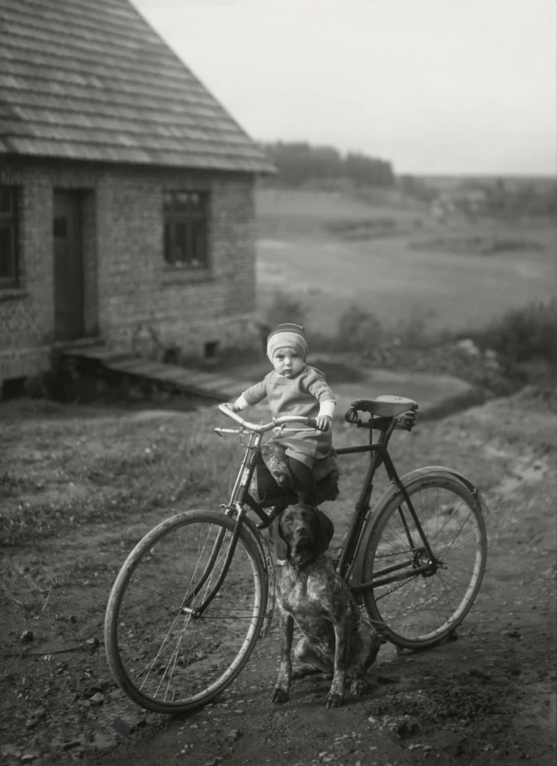 Screenshot 2026-01-23 at 17.29.53.jpg