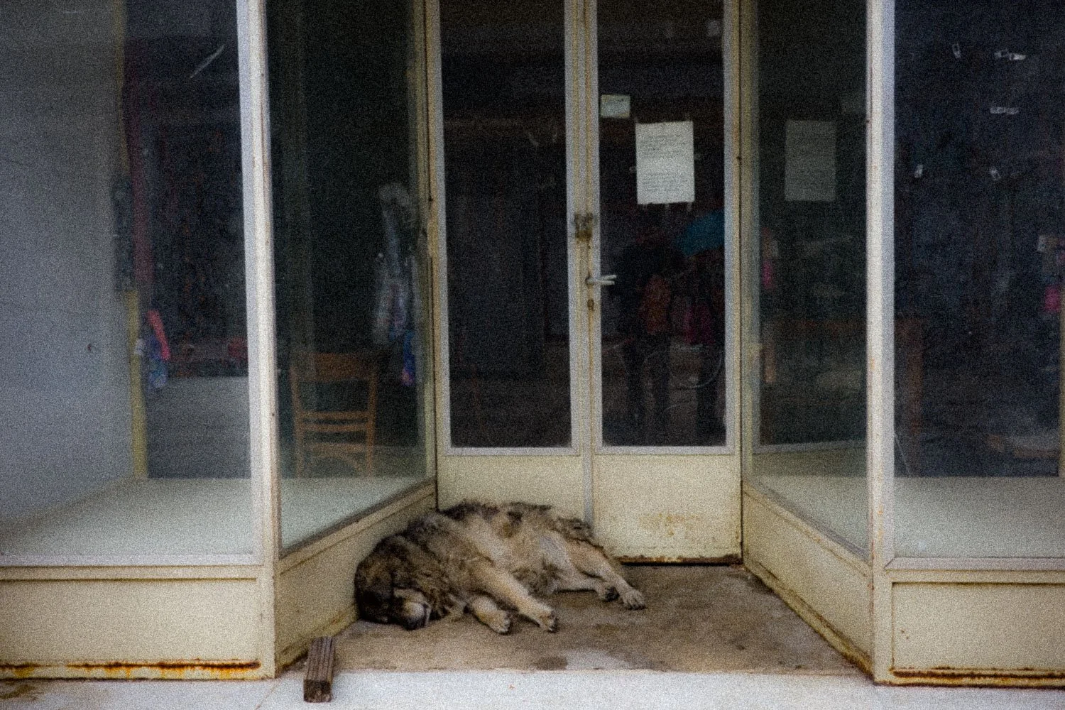 "Βένος κ  Κώτσιος" old abandoned store, Igoumenitsa, 2024