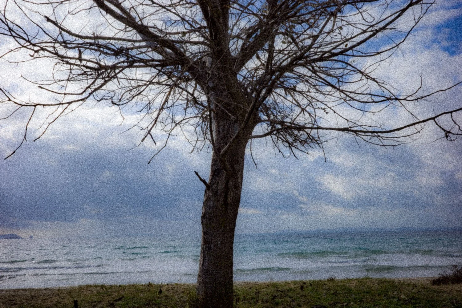 Drepano, Igoumenitsa, 2023