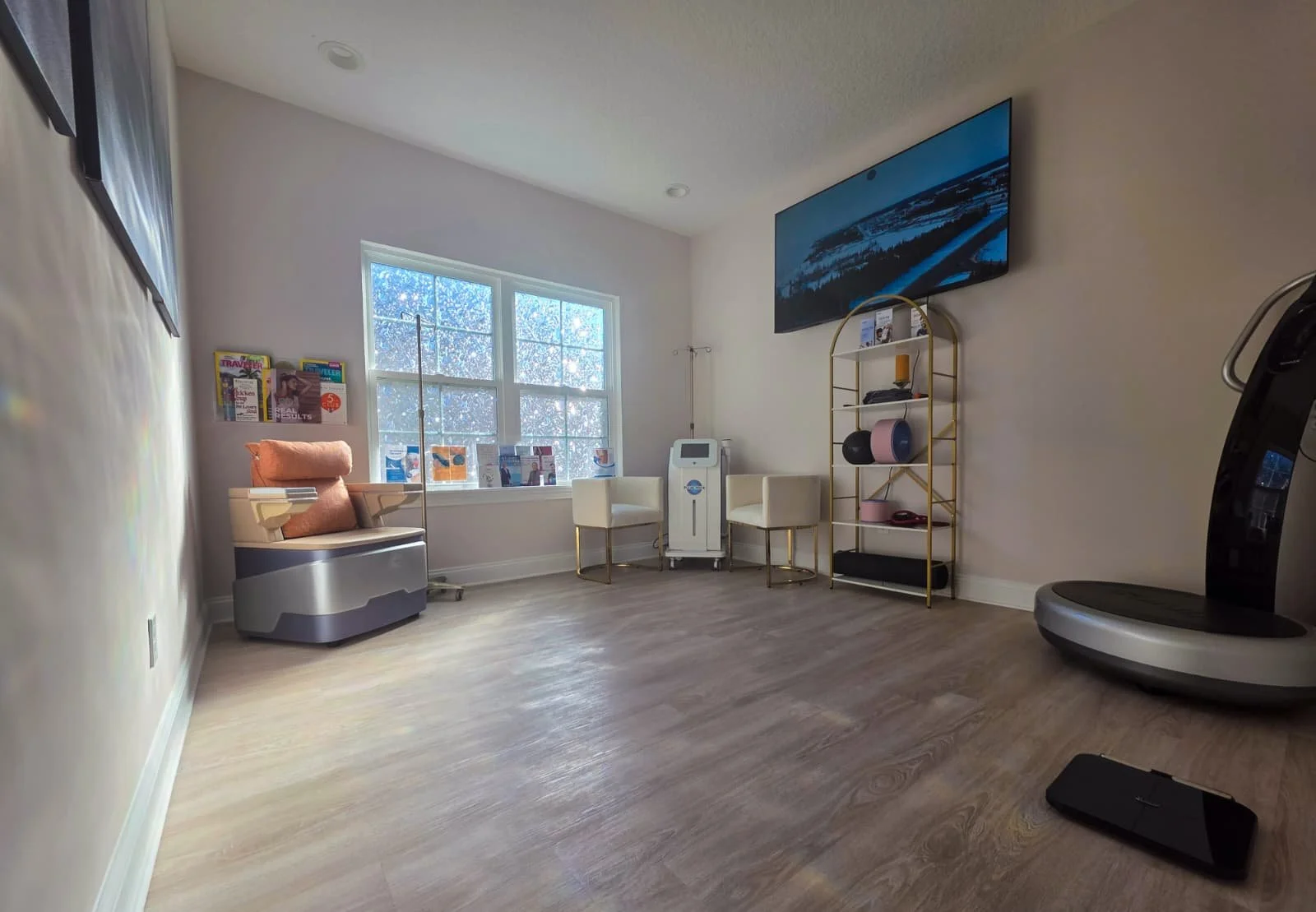 EMS chair, TV and whole body vibration therapy