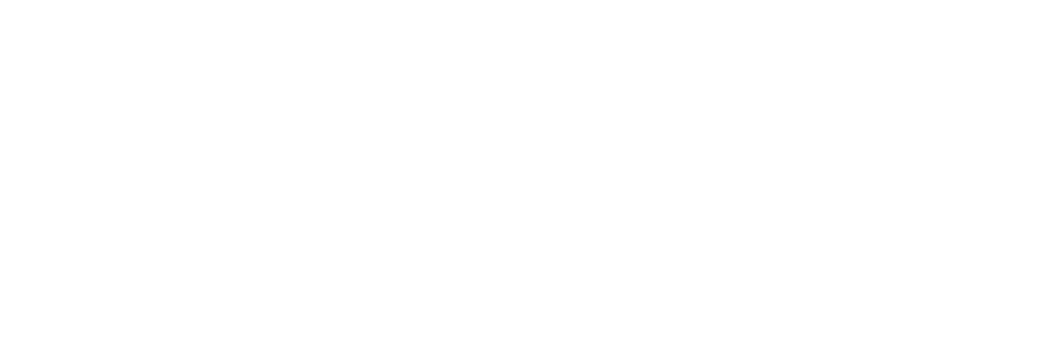 CACI idt.
