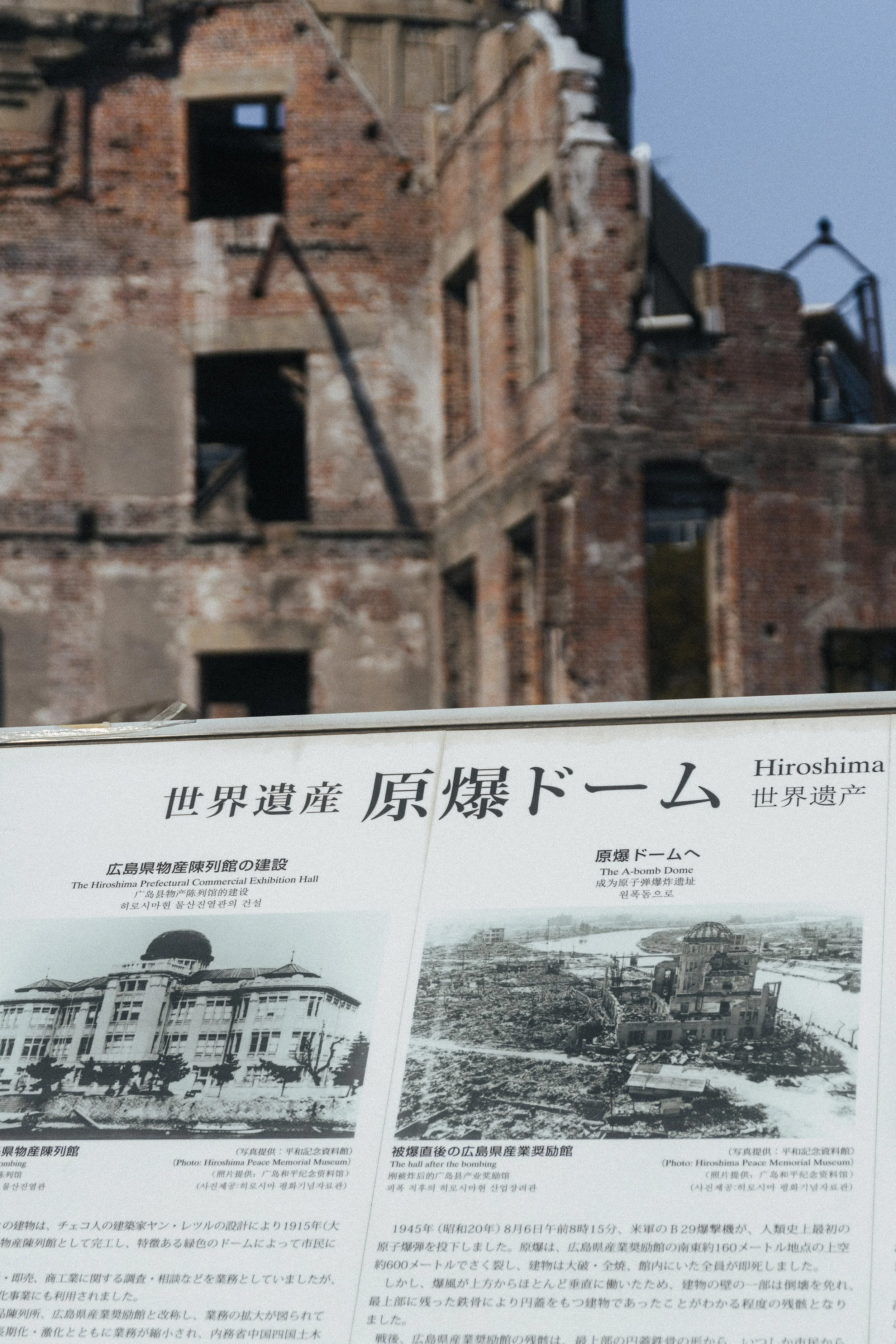 1A6A6722.jpg