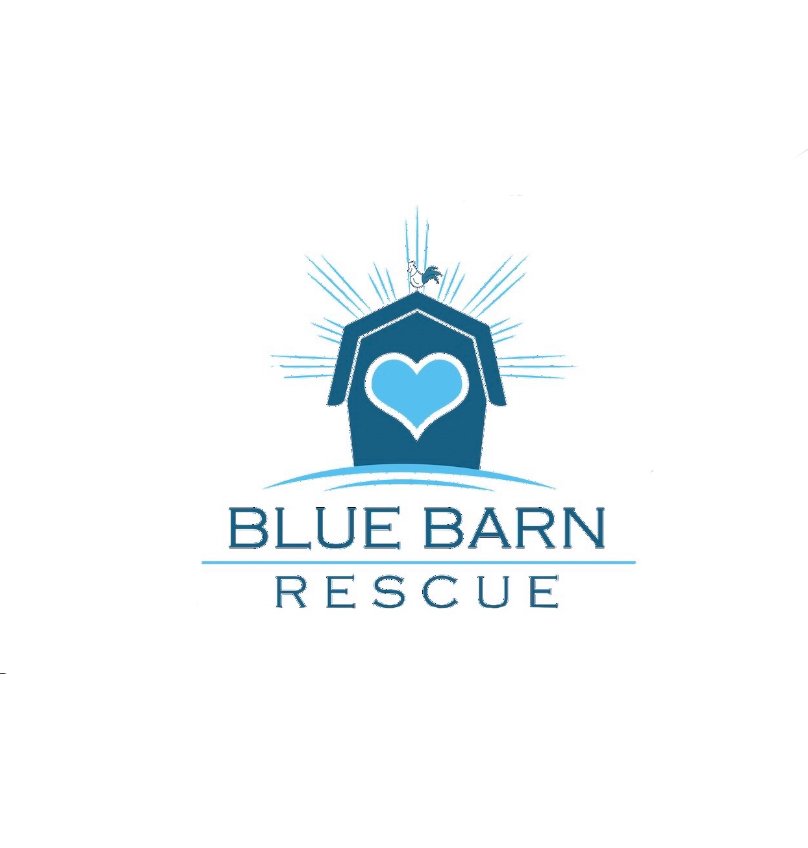 Blue Barn Rescue