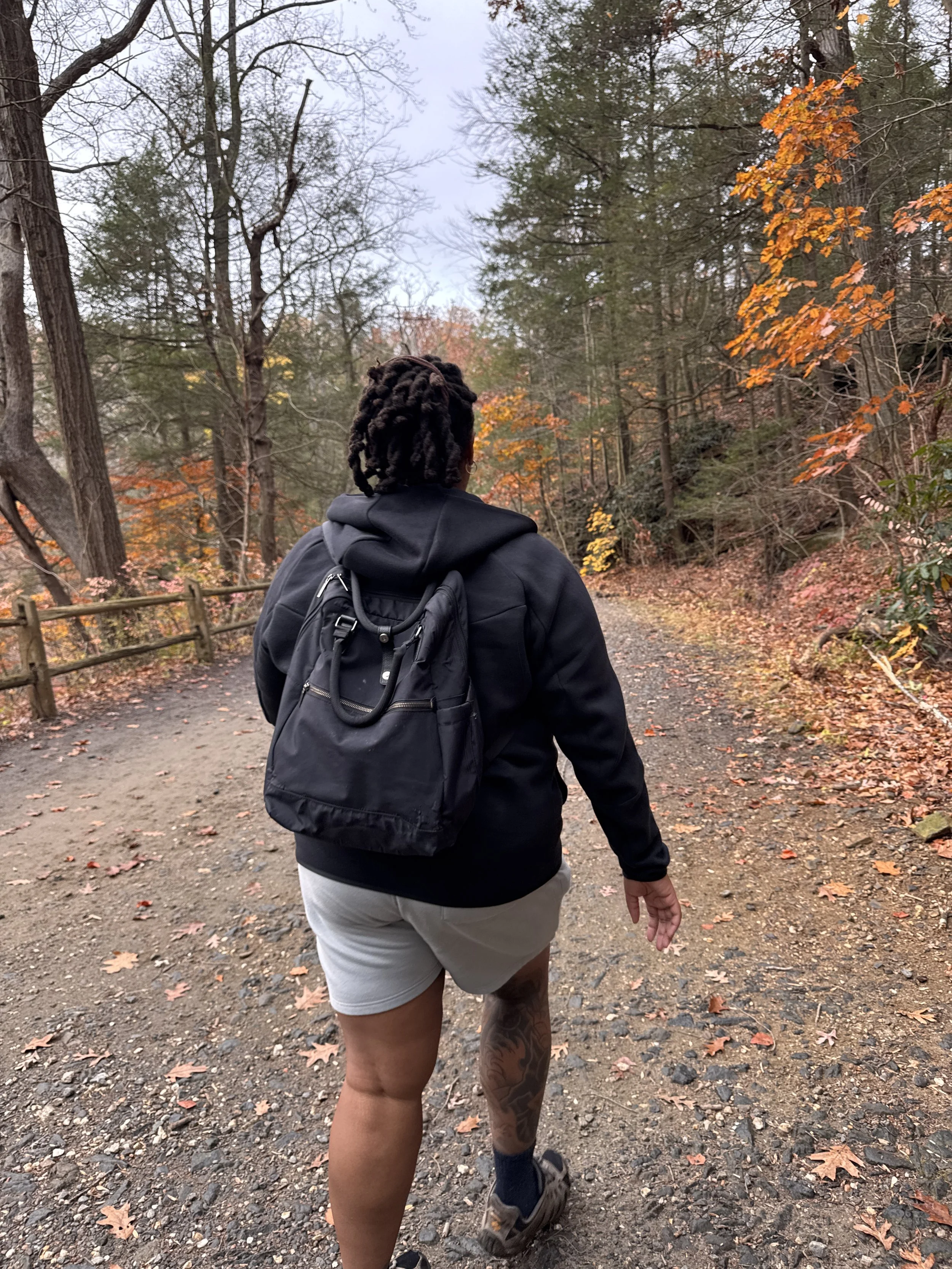 Hiking in the Wissahickon, Philadelphia, PA, Fall 2025