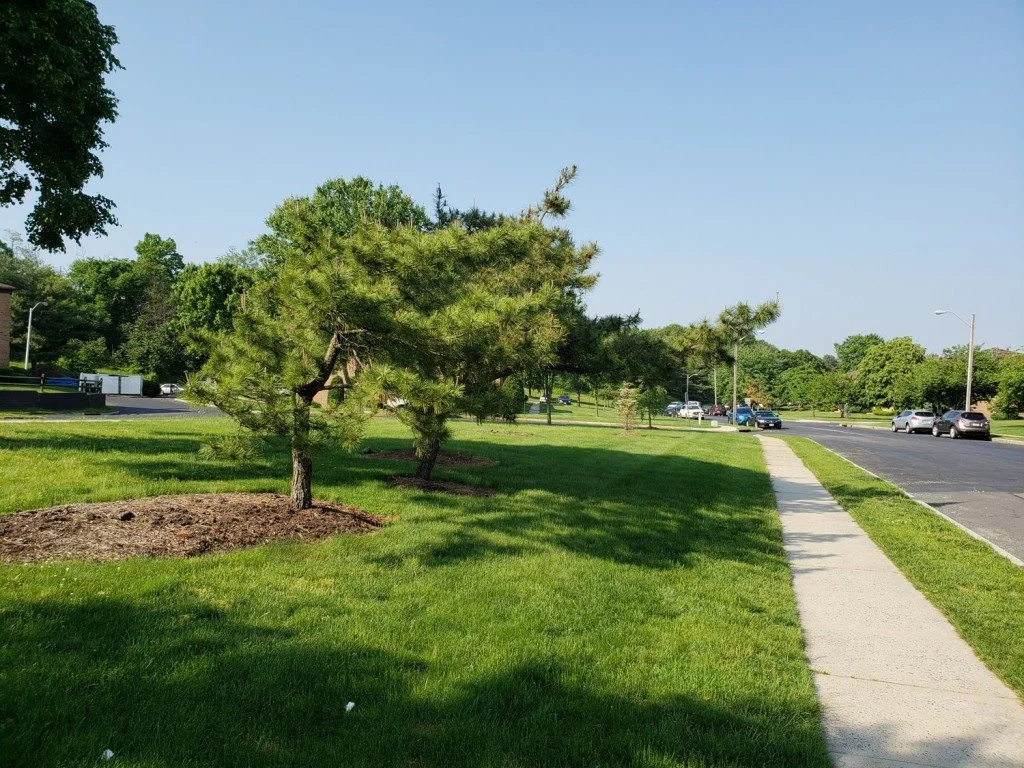 Tenant Affairs — Brooklawn Gardens Apartments