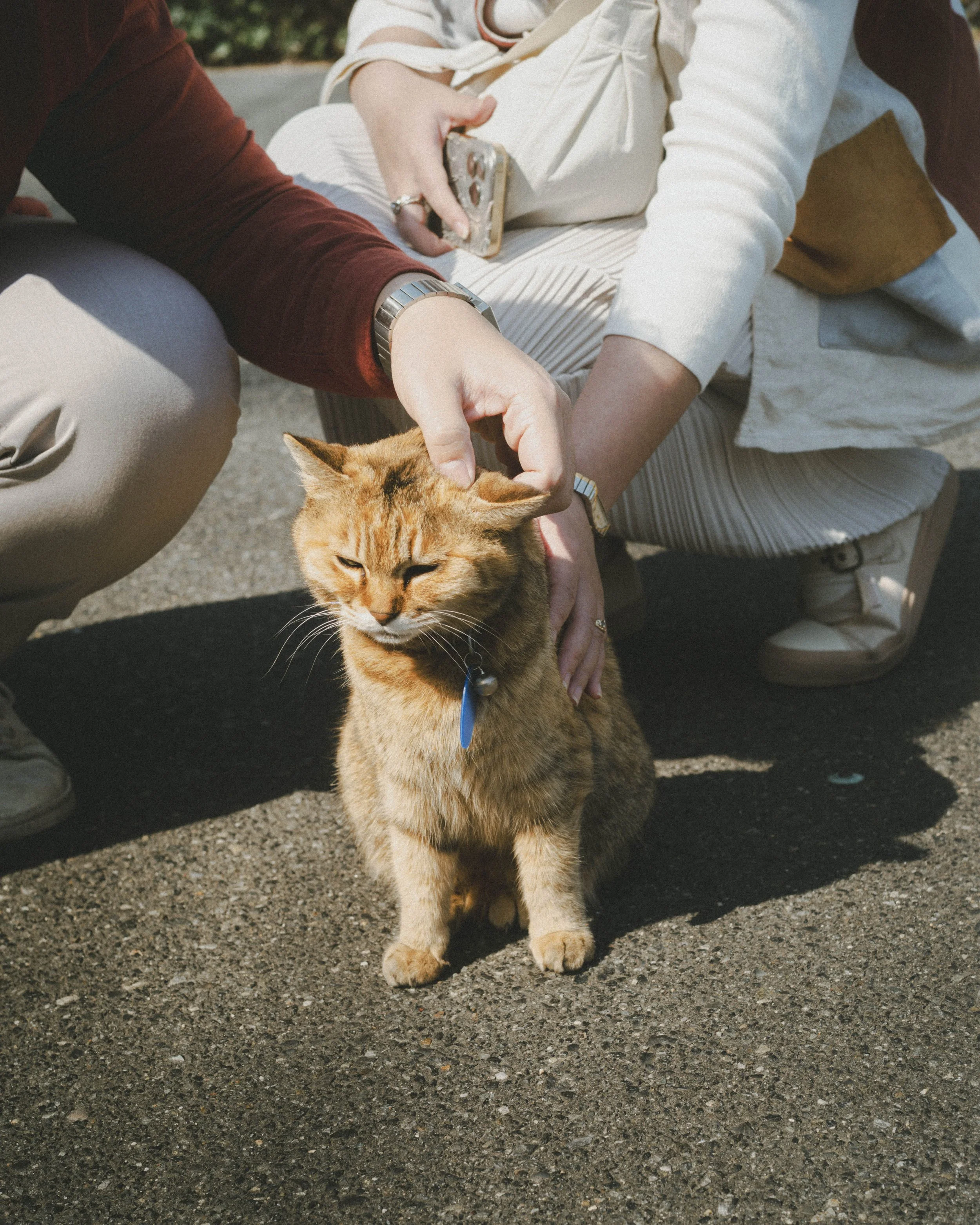 Julia+Jonathan_TeNaoShima-170.jpg