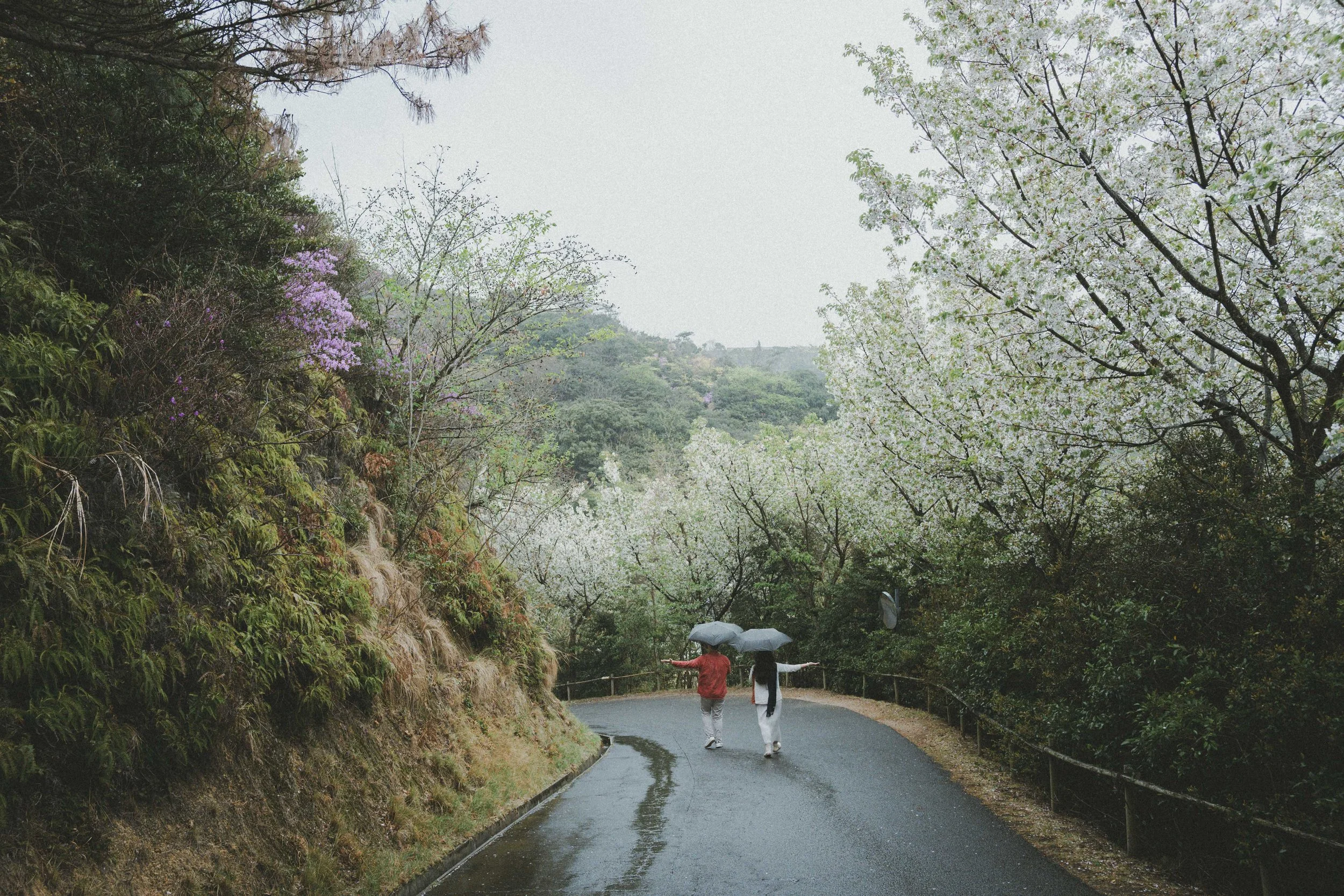 Julia+Jonathan_TeNaoShima-325.jpg