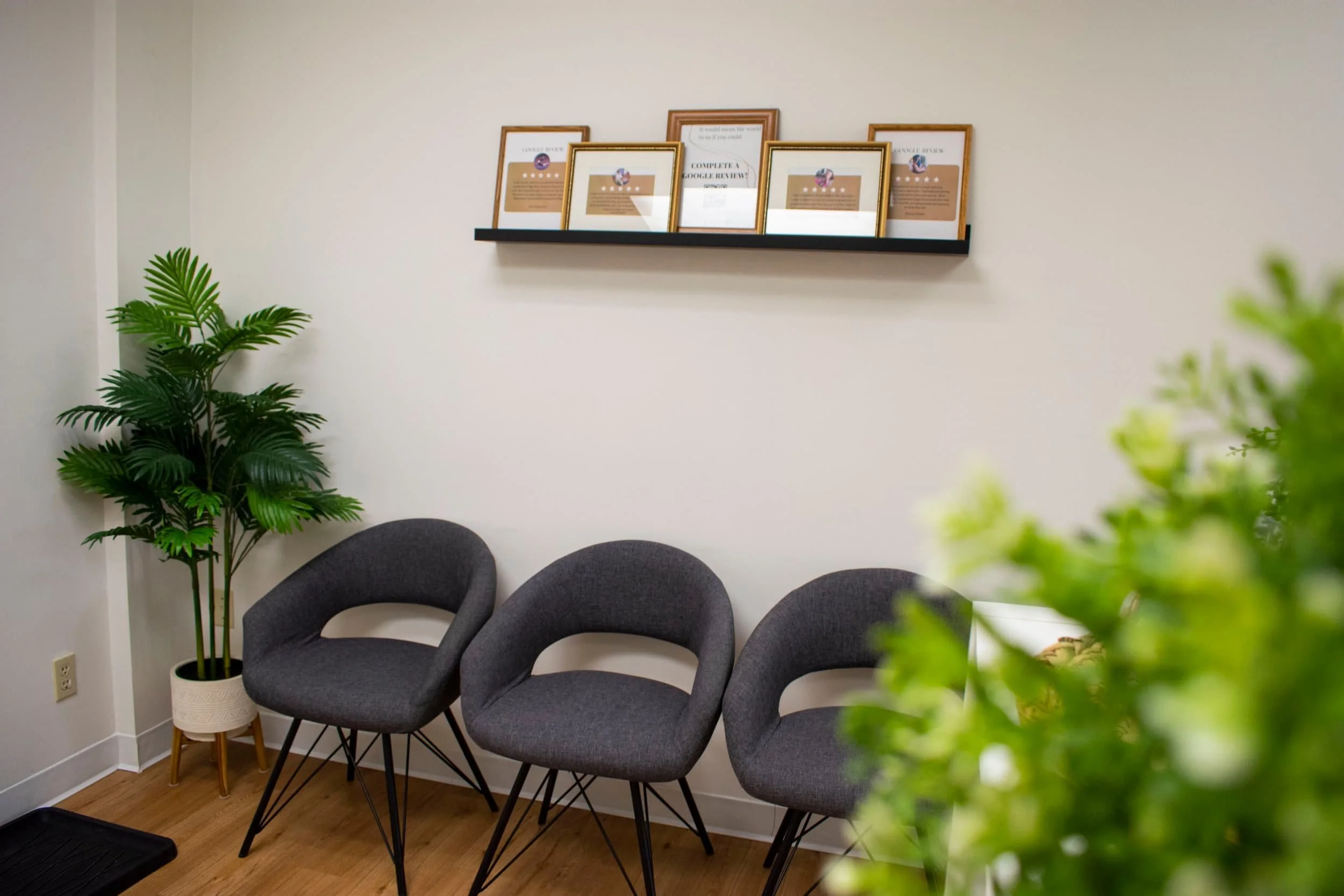 Three gray chairs by a wall with a potted plant—perfect for waiting to see a second opinion doctor, framed certificates above.