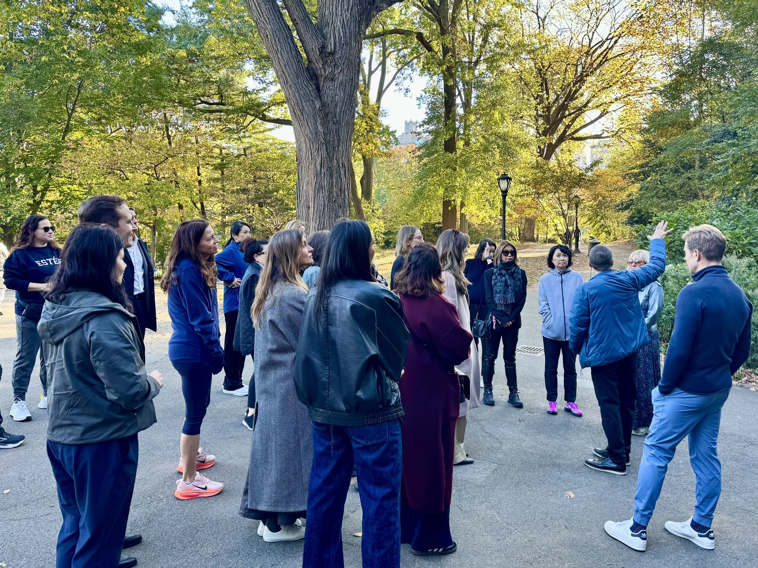 Central Park is a great location for a corporate team-building workshop or outing.