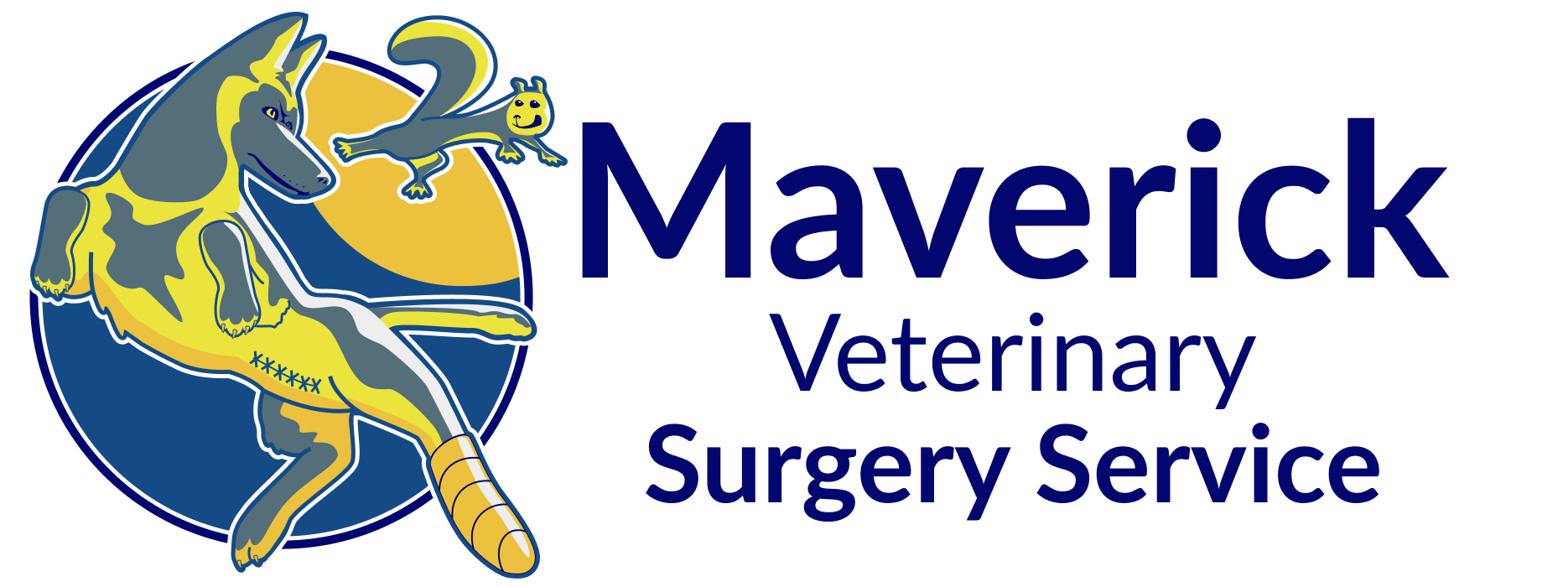 Maverick Veterinary Surgery Service