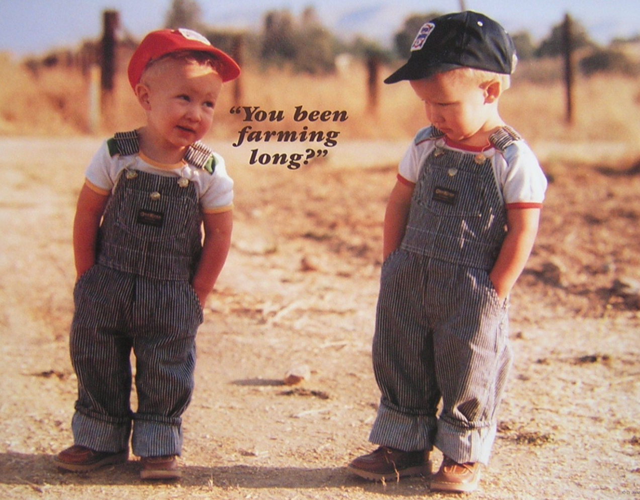 You been farming long?