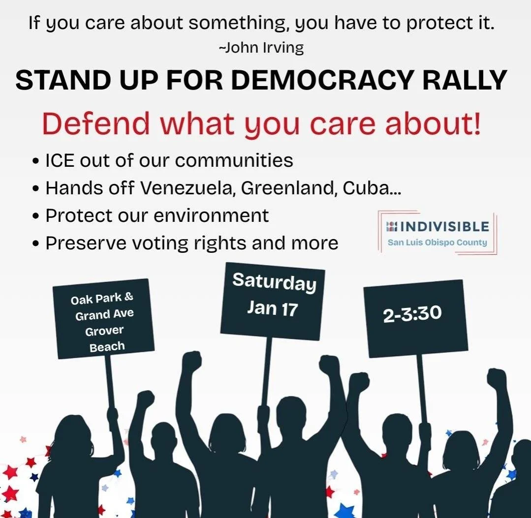 Oak Park & Grand Stand up for Democracy Rally