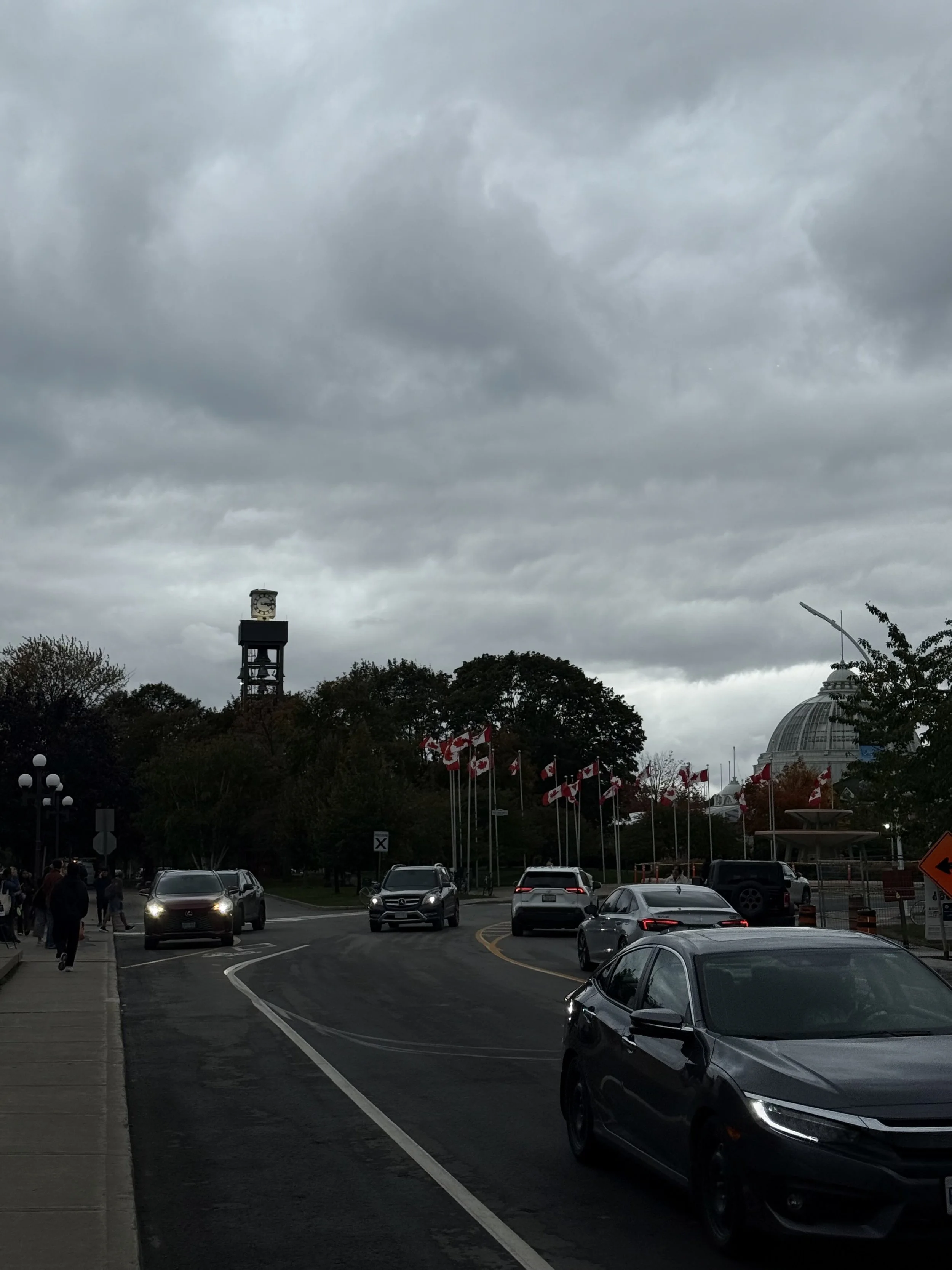 IMG_8448.jpeg