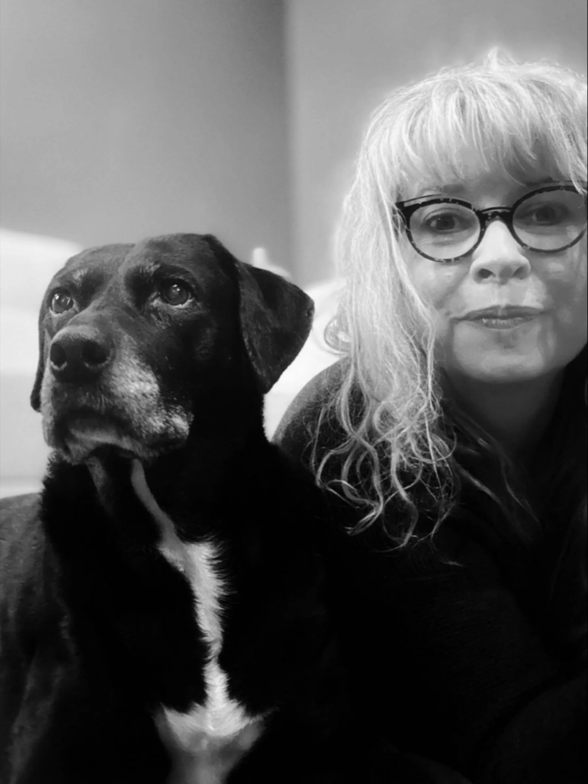 Happy Dog Person Day! 

Are you a dog person? I&rsquo;ve been a dog person all my life. My grandparents has 18 dogs over the years since I was born, all rescues, or &lsquo;my favourite breed&rsquo; so it&rsquo;s no surprise that Molly is a rescue. I 