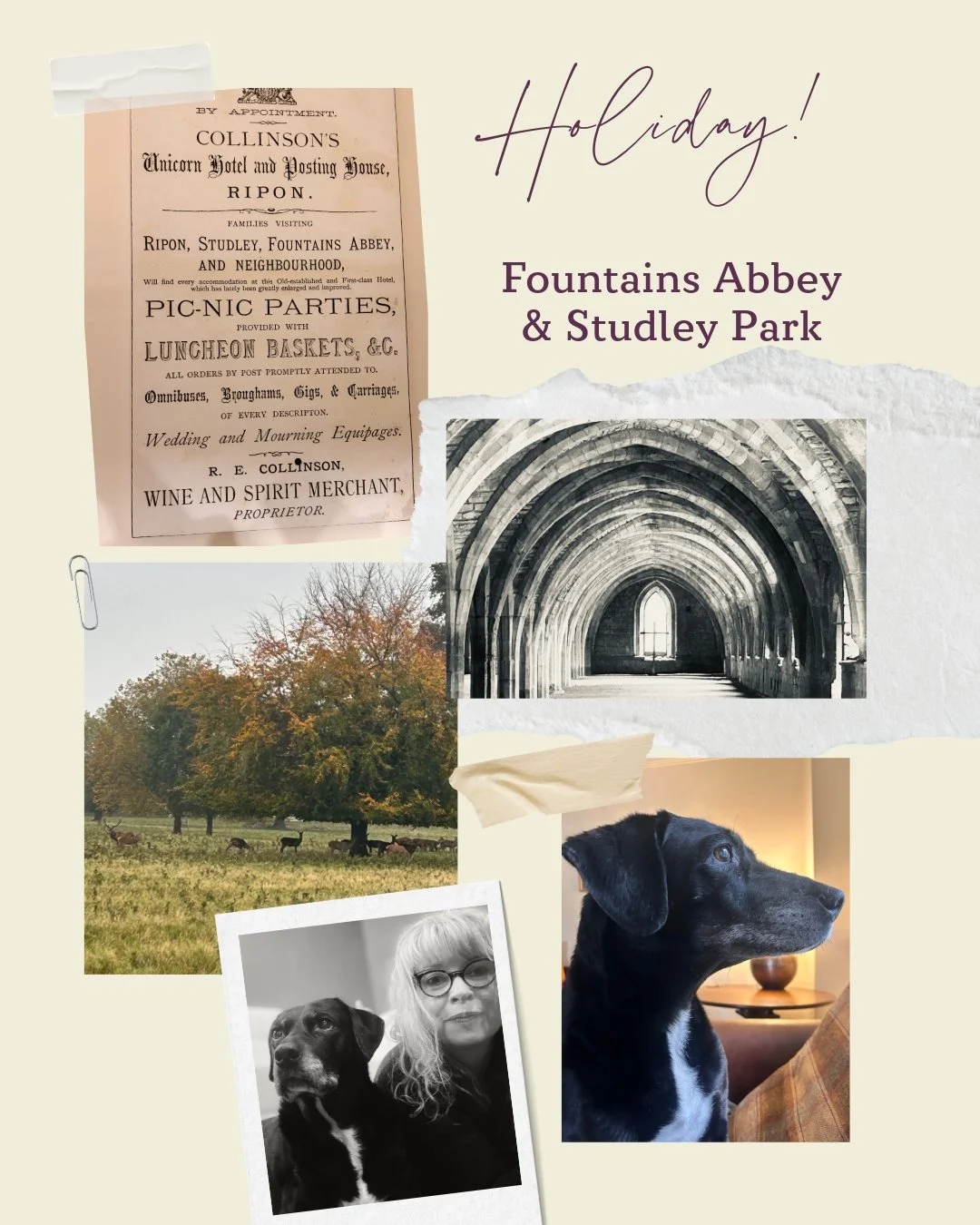 Feels like ages ago, but it was just last month! Molls absolutely adored exploring the scents of Fountains Abbey and Studley Park during our very first @ holiday. The booking came with out-of-hours access to the entire park, we had lots of opportunit