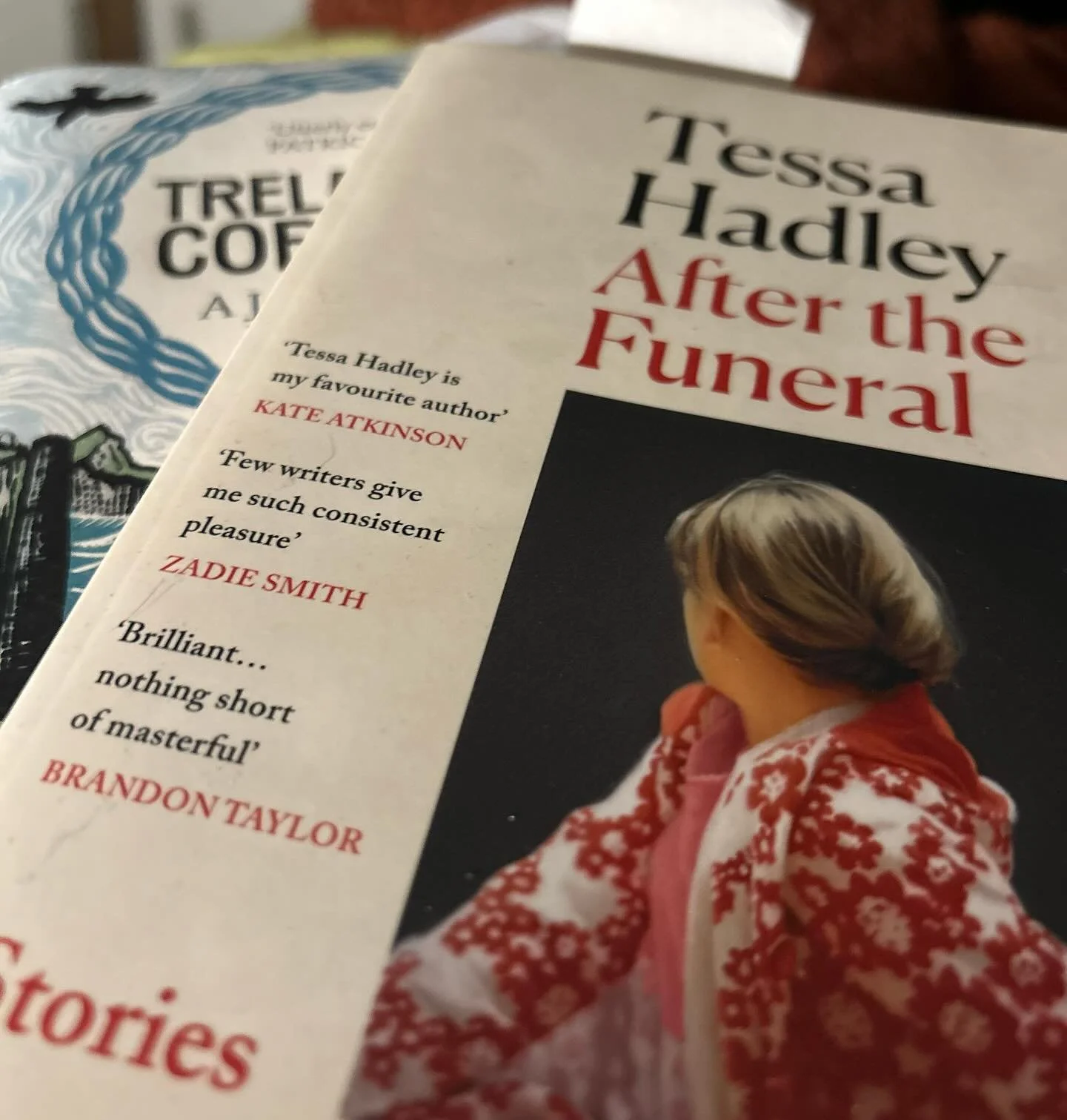 The nicest gift to myself is snoring dog, herbal tea, bed and books with beautiful covers. Current reading. #books