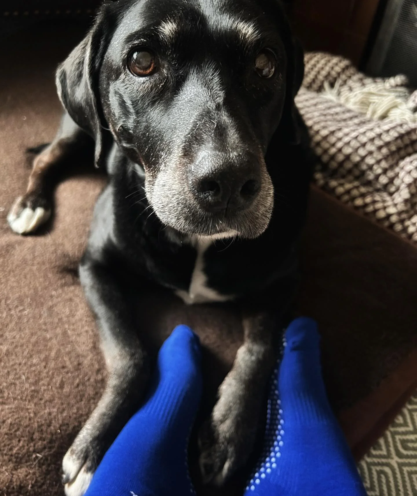 This morning is gentle yoga after an up and down week. I have raised &pound;135 for Mind so far in my challenge which means I was sent bright blue grippy socks! 

Today is gentle yoga. We have stretched and wriggled, and a warrior for strength for a 