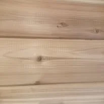 584922851_2219939328417406_1450909726700802943_n.jpg