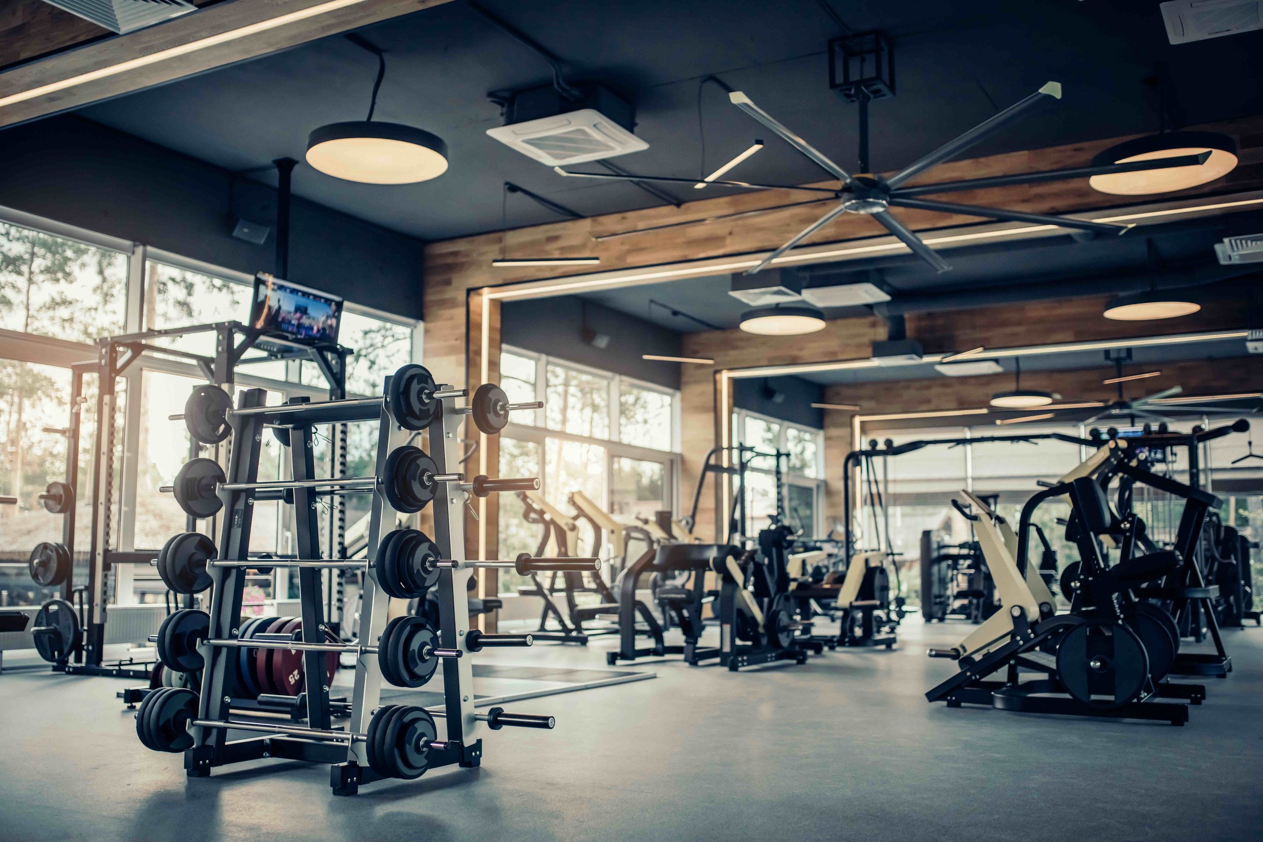 A guide to the gym for firsttimers — The Move Good Movement
