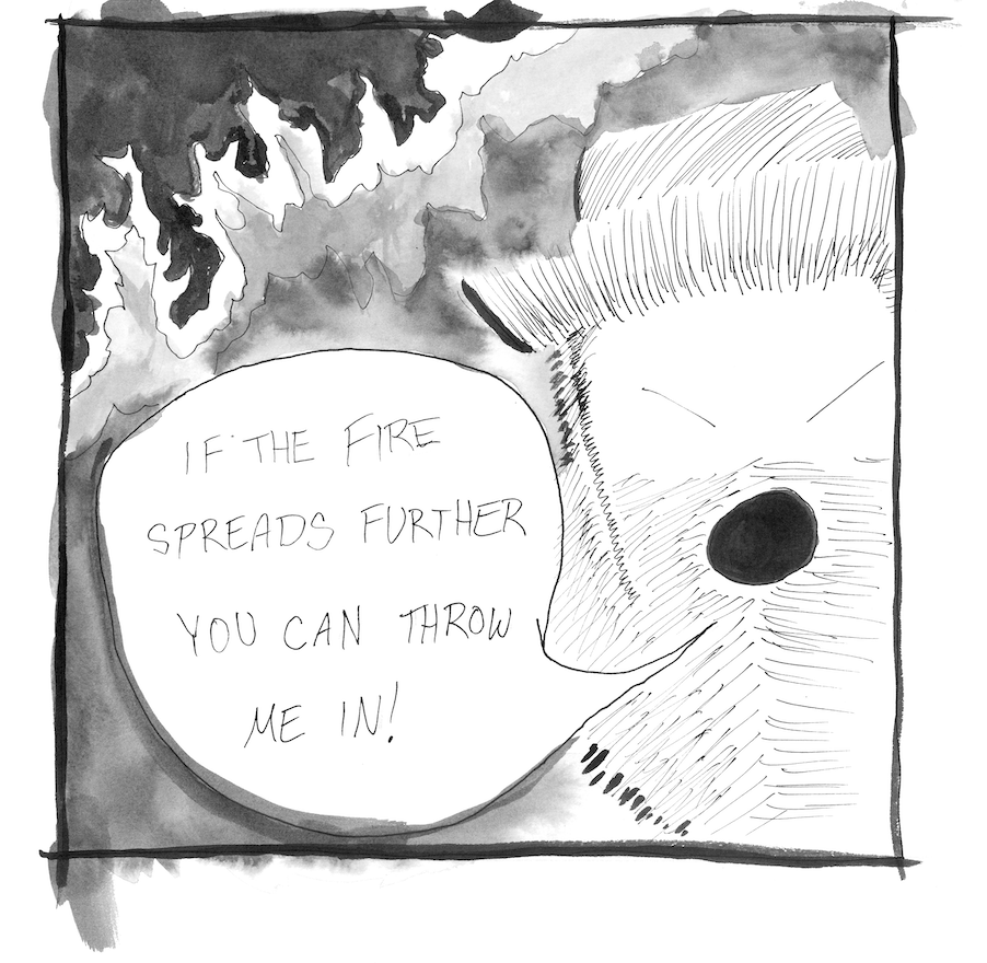 40_ed_s.png