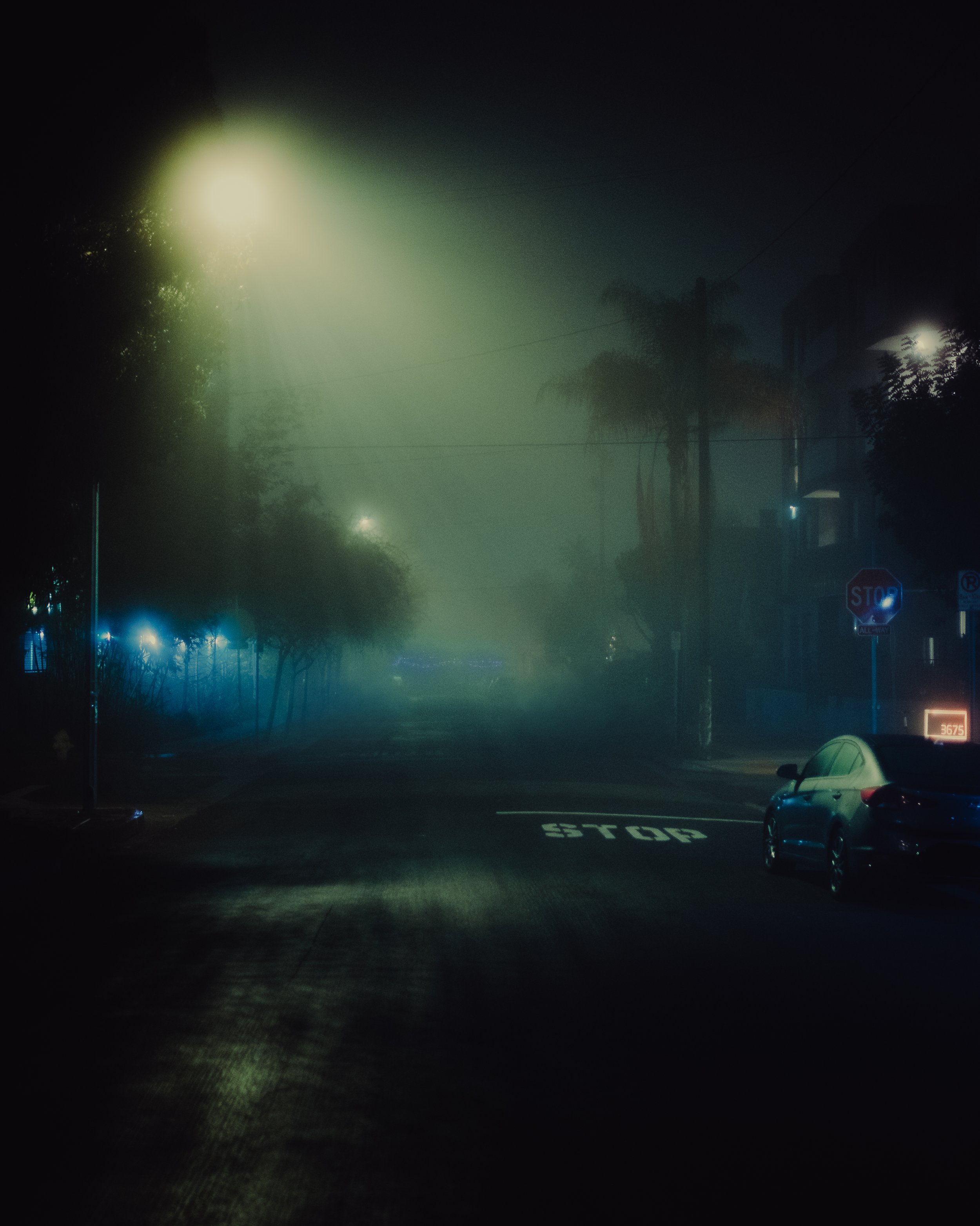 Foggy_Night_In_LA-2022.jpg