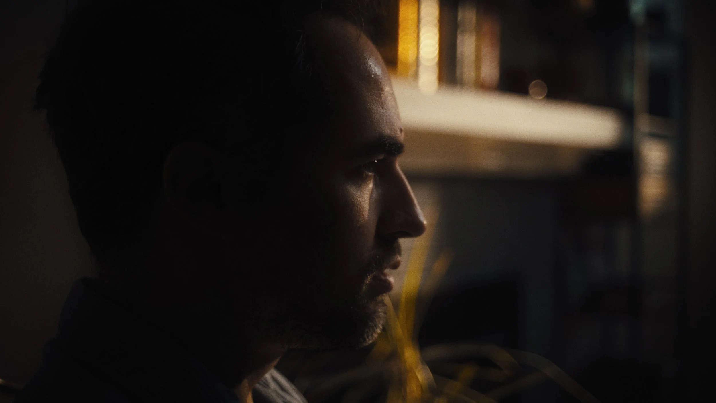 The_Dwelling_Graded_8.jpg