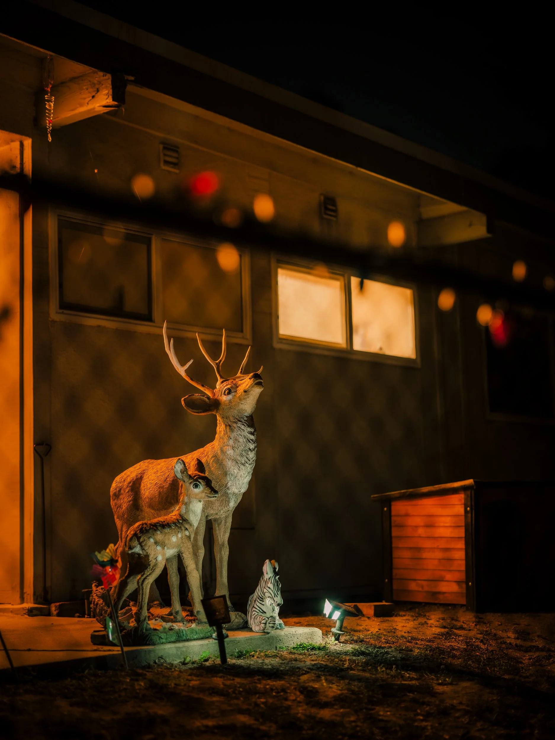 The_Quiet_Hours_Christmas_In_August.jpg