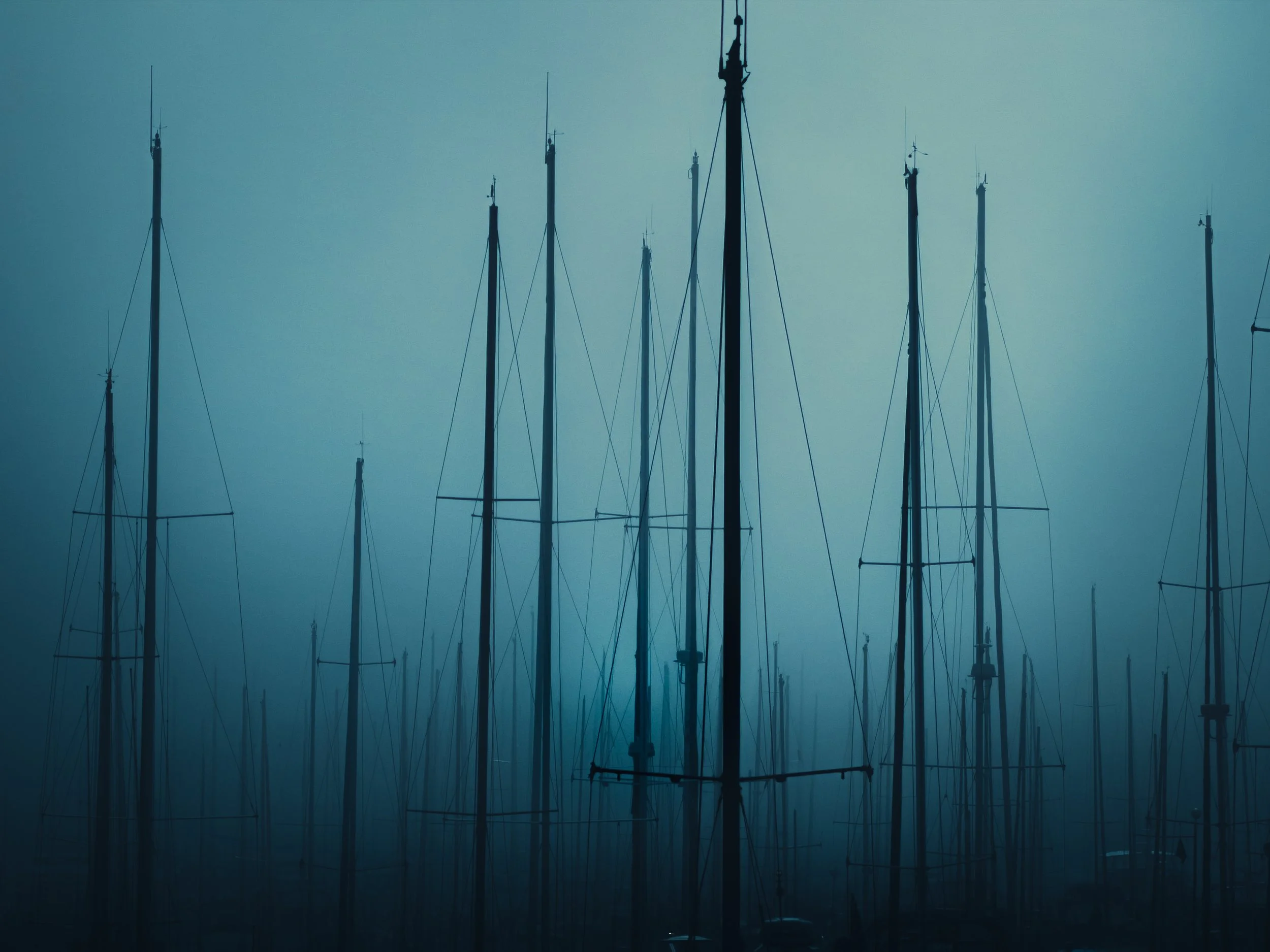 Fog_In_The_Harbor-2026.jpg