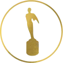 46th Annual Gold Telly Award Winner