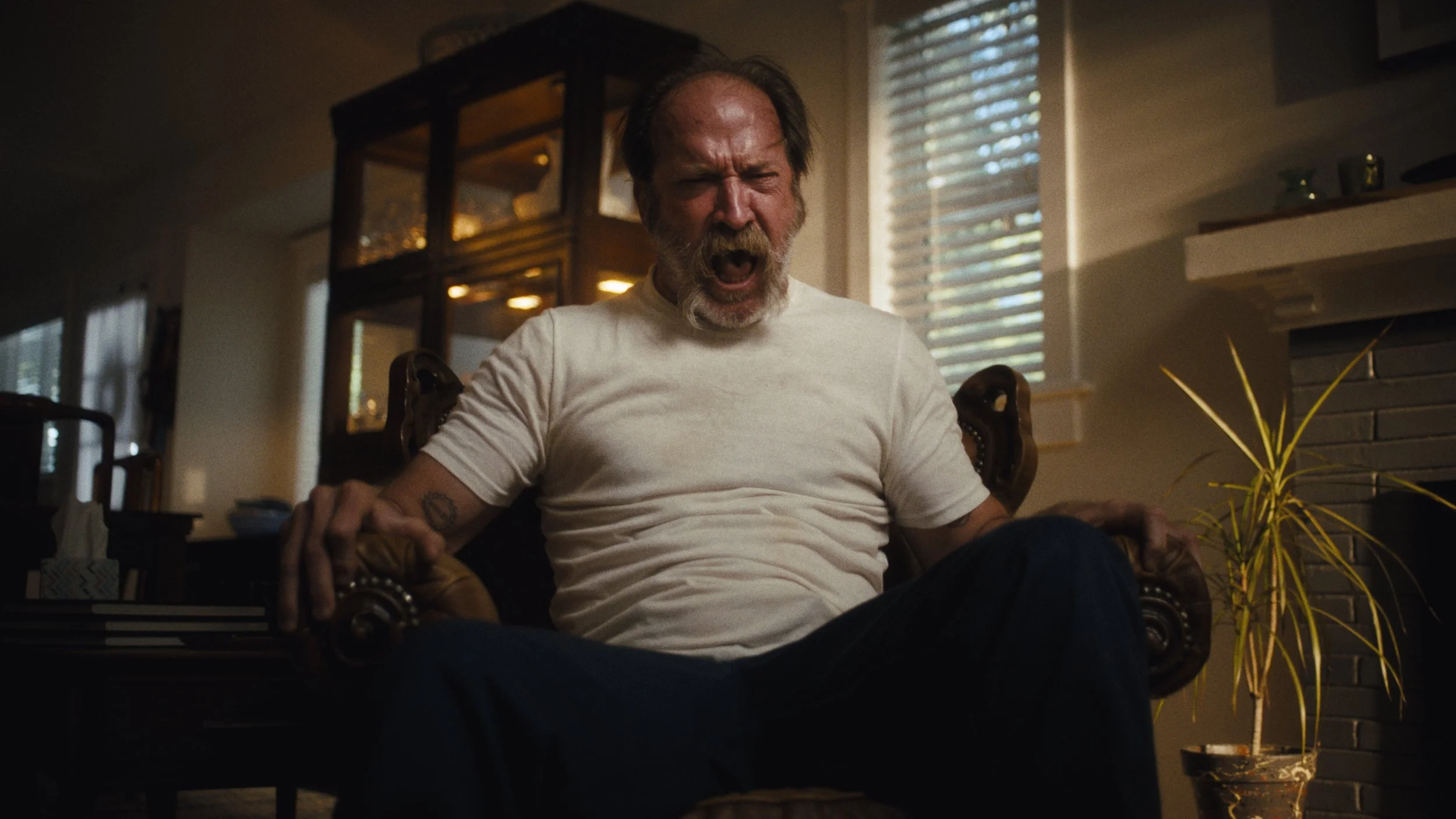 The_Dwelling_Graded_2.jpg
