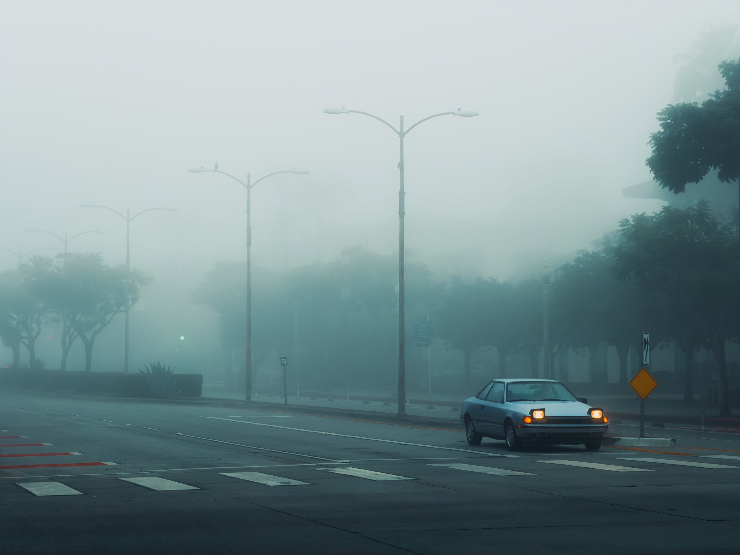 Foggy_Morning_Drive_2025.jpg