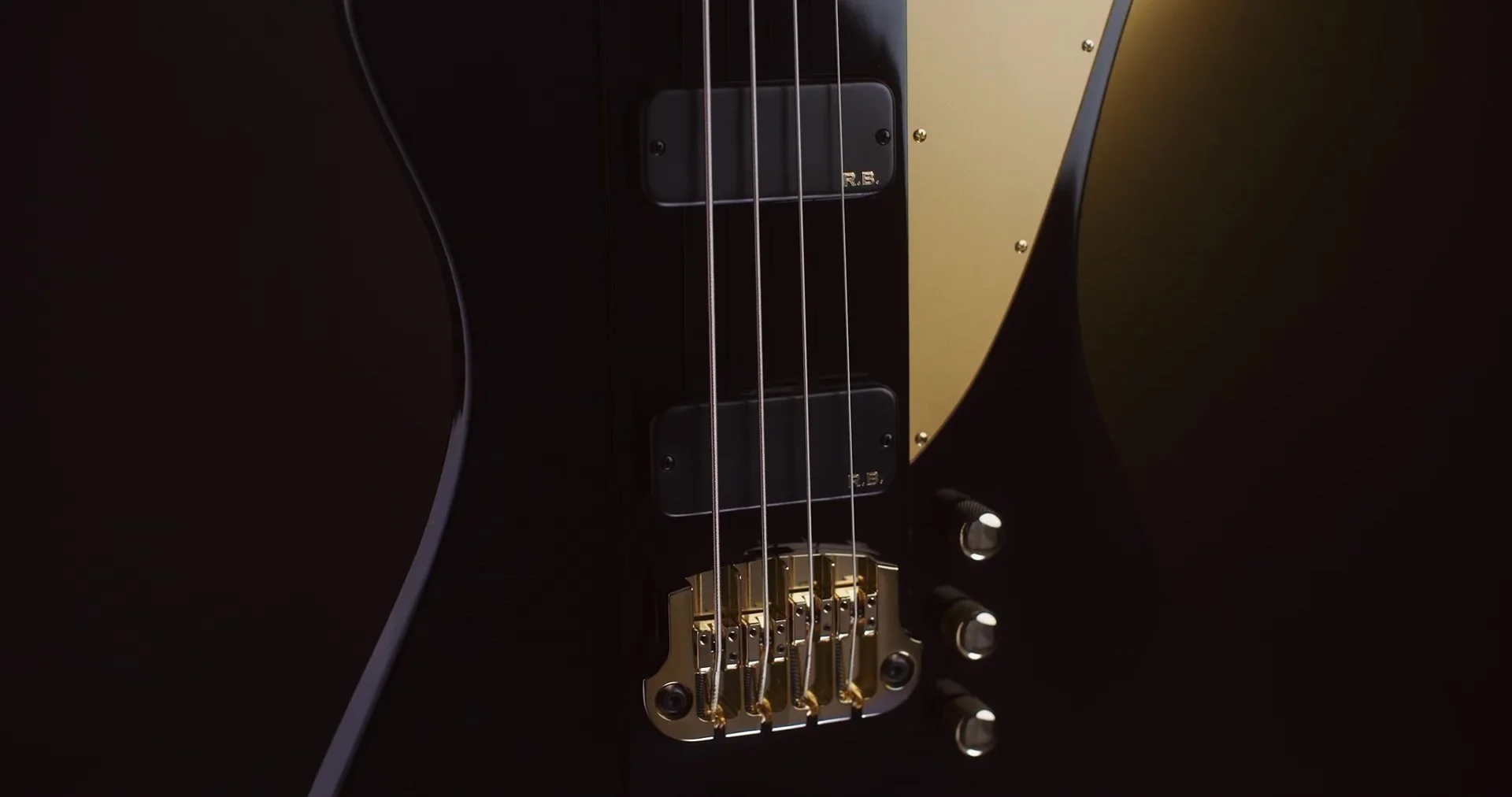 Rex_Brown_69.jpg
