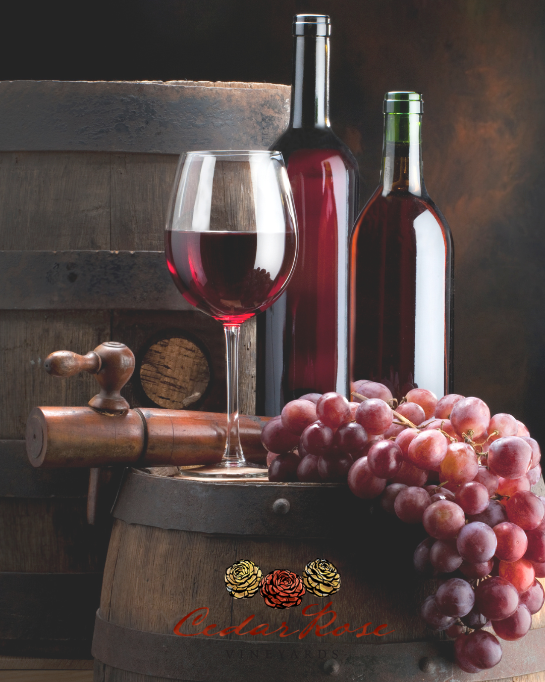 Wine Maker Wednesdays 