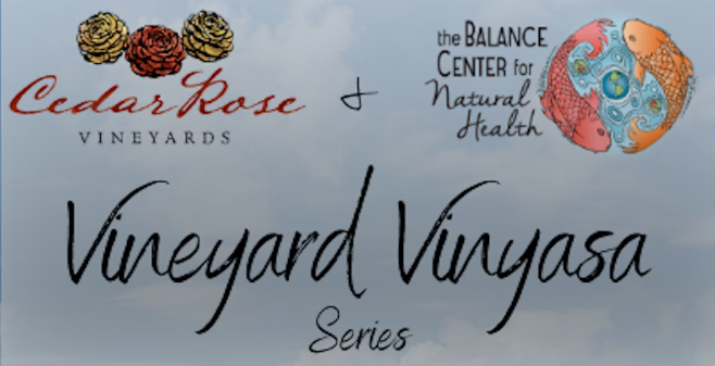Vineyard Vinyasa- May 